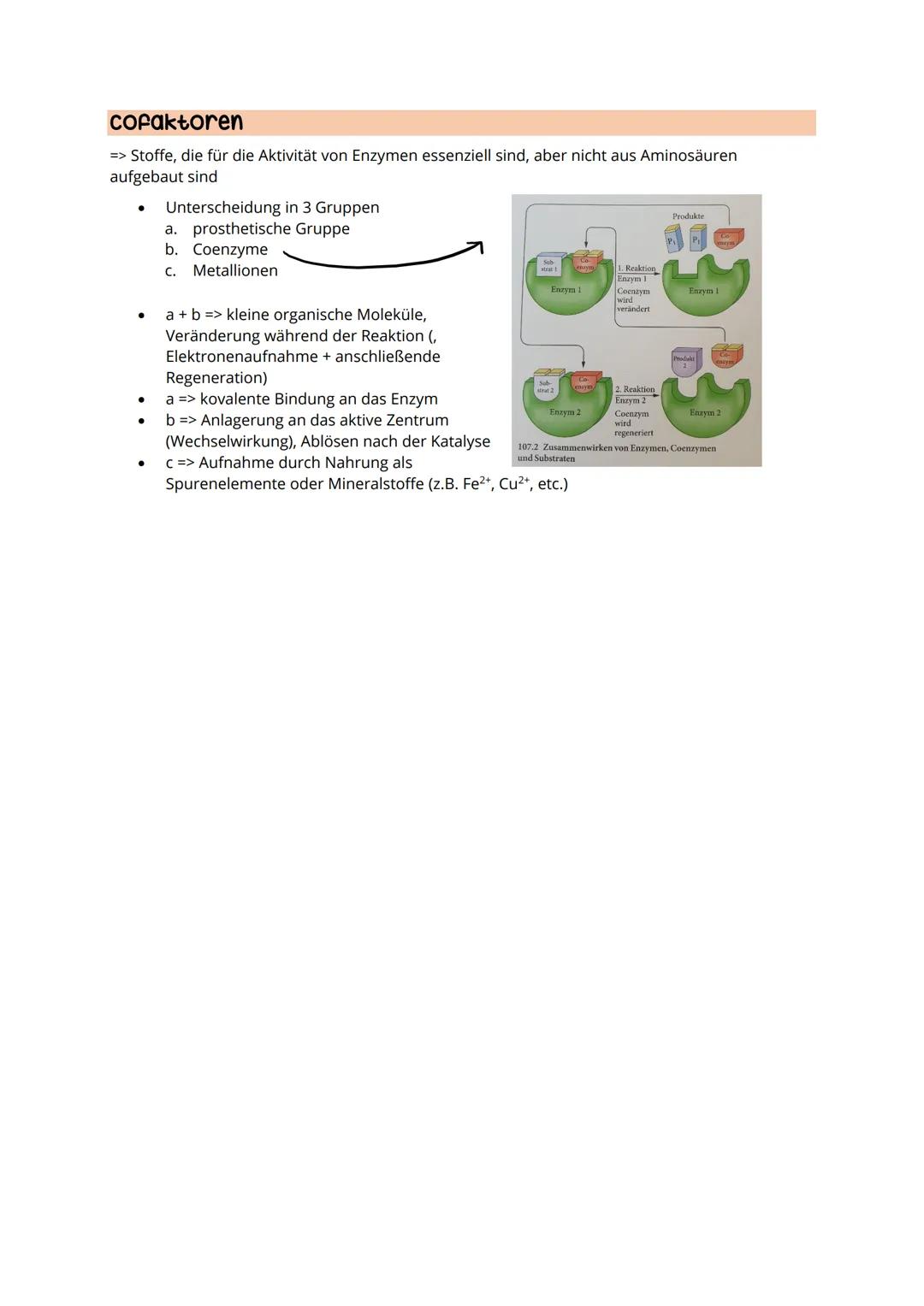 # Allgemein
* kommen in jedem Organismus vor
* frei beweglich oder gebunden
* Name: endet immer mit -ase, werden meist nach Substrat