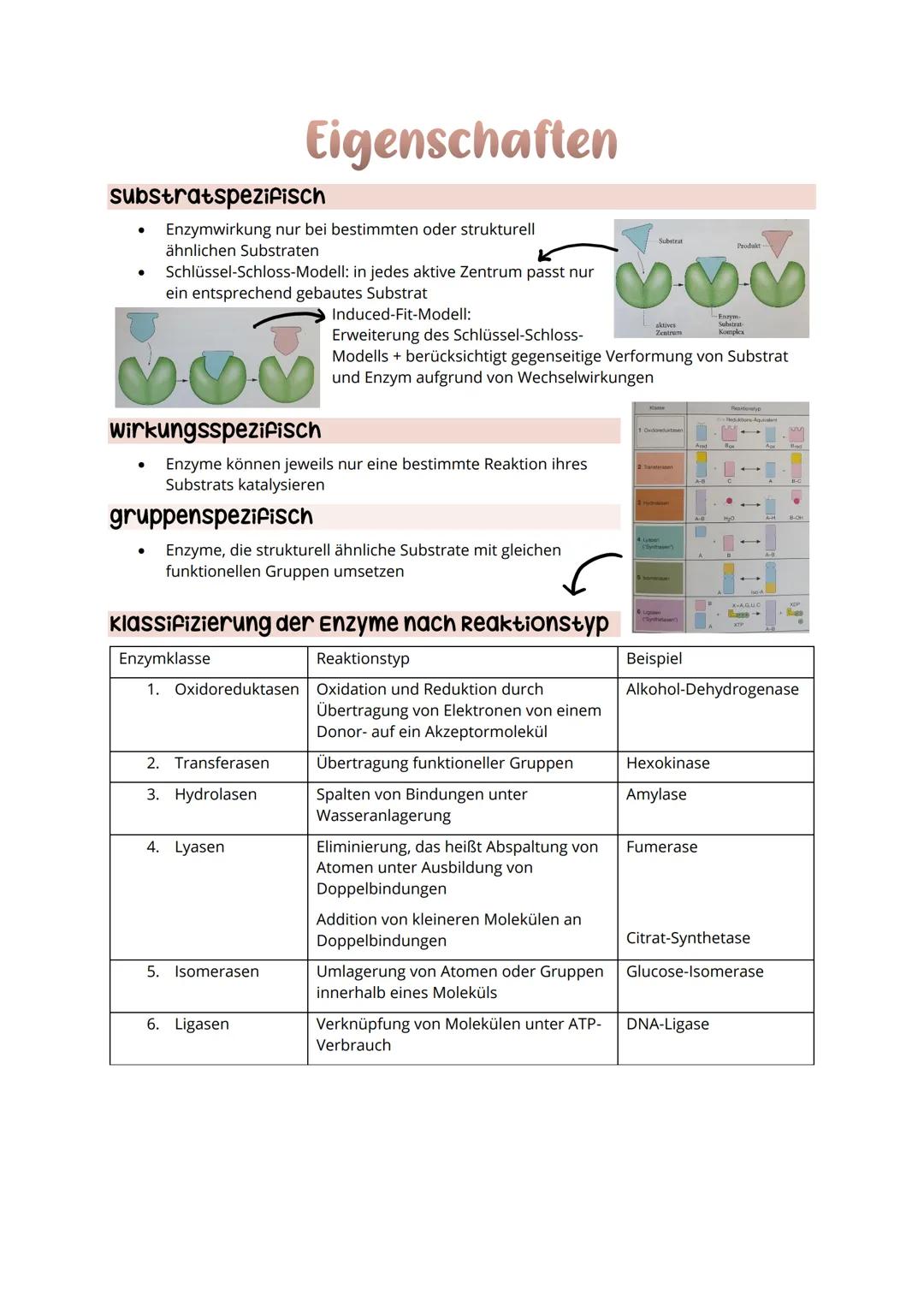# Allgemein
* kommen in jedem Organismus vor
* frei beweglich oder gebunden
* Name: endet immer mit -ase, werden meist nach Substrat
