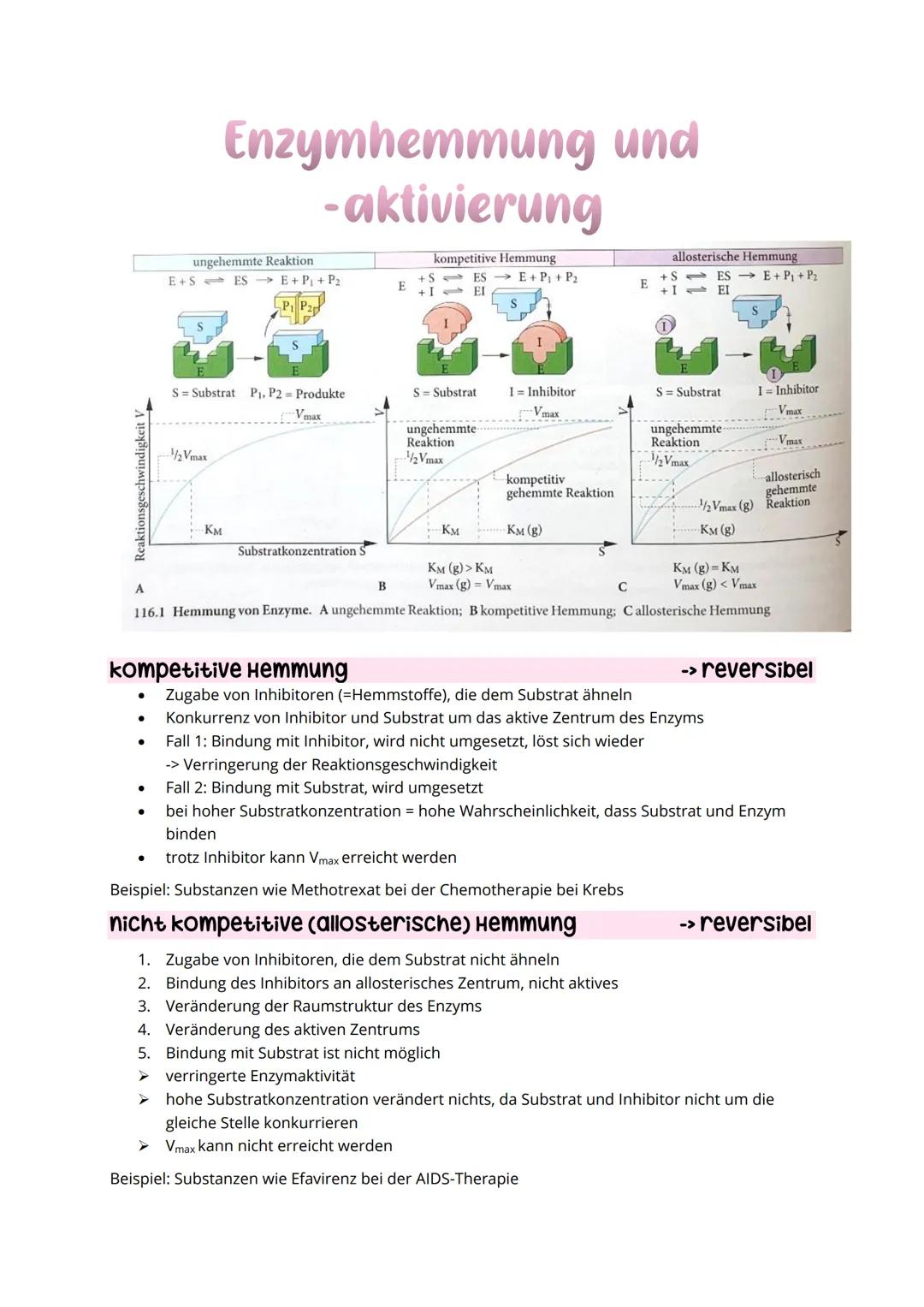 # Allgemein
* kommen in jedem Organismus vor
* frei beweglich oder gebunden
* Name: endet immer mit -ase, werden meist nach Substrat