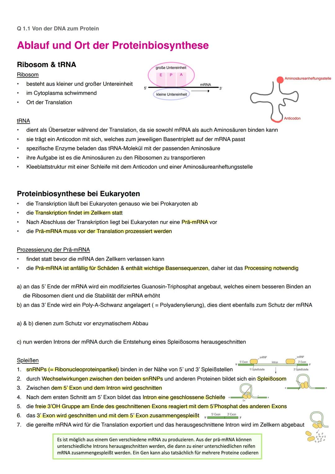 20 Biologie
20.1 Kursart
Grundlegendes/erhöhtes Niveau (Grundkurs/Leistungskurs)
20.2 Struktur der Prüfungsaufgaben
Aufgabenarten nach EPA B