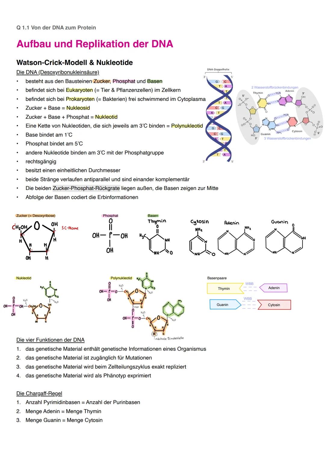 20 Biologie
20.1 Kursart
Grundlegendes/erhöhtes Niveau (Grundkurs/Leistungskurs)
20.2 Struktur der Prüfungsaufgaben
Aufgabenarten nach EPA B