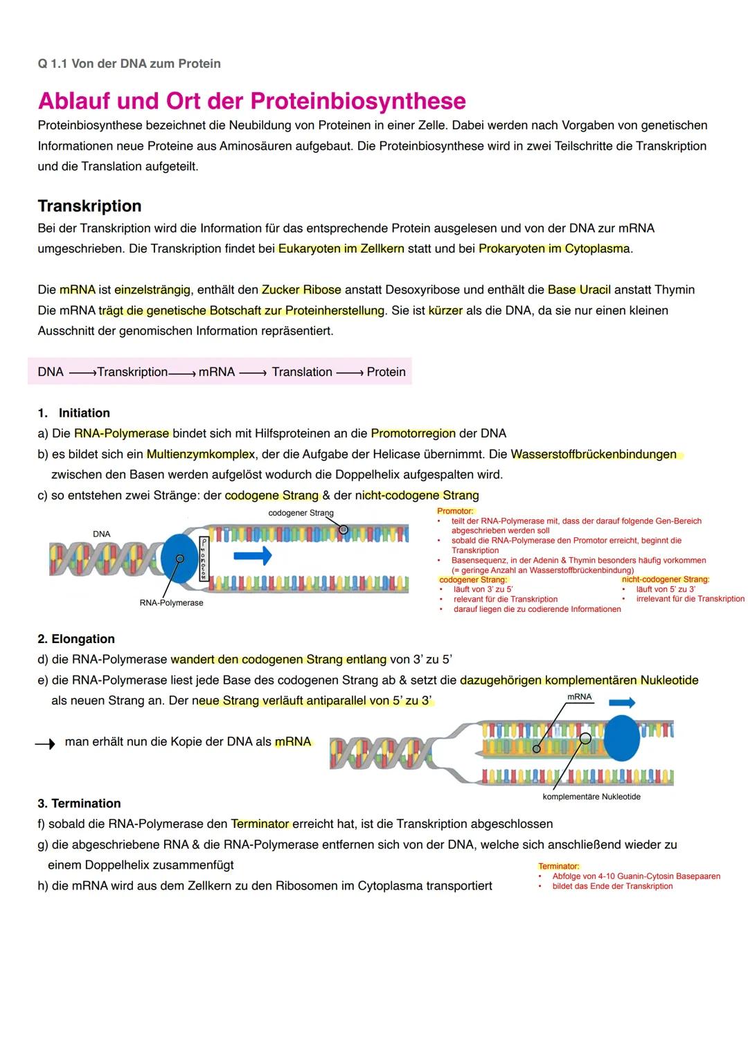 20 Biologie
20.1 Kursart
Grundlegendes/erhöhtes Niveau (Grundkurs/Leistungskurs)
20.2 Struktur der Prüfungsaufgaben
Aufgabenarten nach EPA B