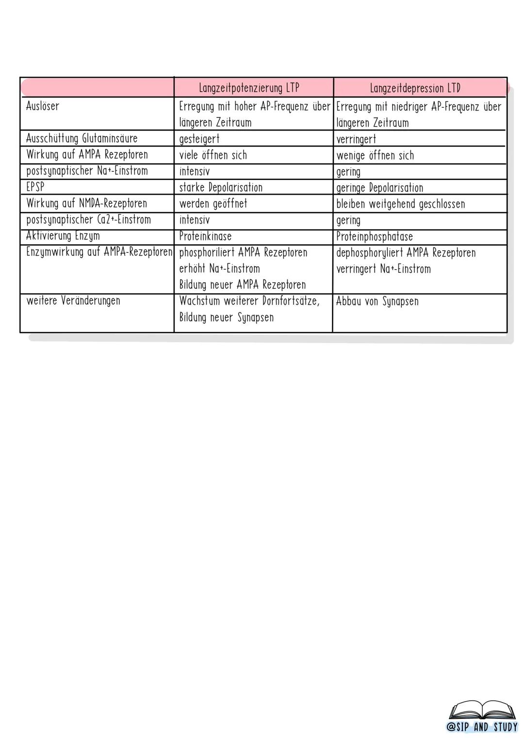 # LANGZEITPOTENZIERUNG
VS. LANGZEITDEPRESSION
LANGZEITDEPRESSION LTD
-Glutamat
NMDA-Rezeptor
PO14
AMPA-Rezeptoren
12
15
16
Protein-