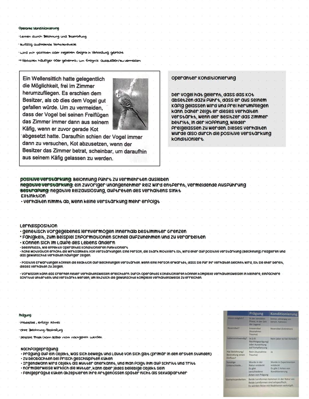 - second-messenger-vorgänge (Prinzip)
## Q3.2 Verhaltensbiologie (5 Wochen)
grundlegendes Niveau (Grundkurs und Leistungskurs)
- Attrappe