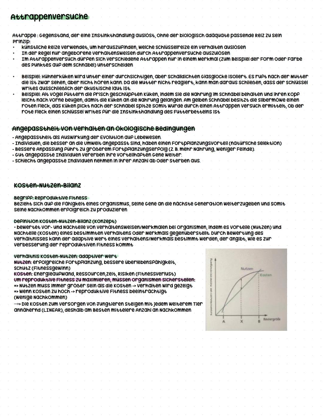 - second-messenger-vorgänge (Prinzip)
## Q3.2 Verhaltensbiologie (5 Wochen)
grundlegendes Niveau (Grundkurs und Leistungskurs)
- Attrappe