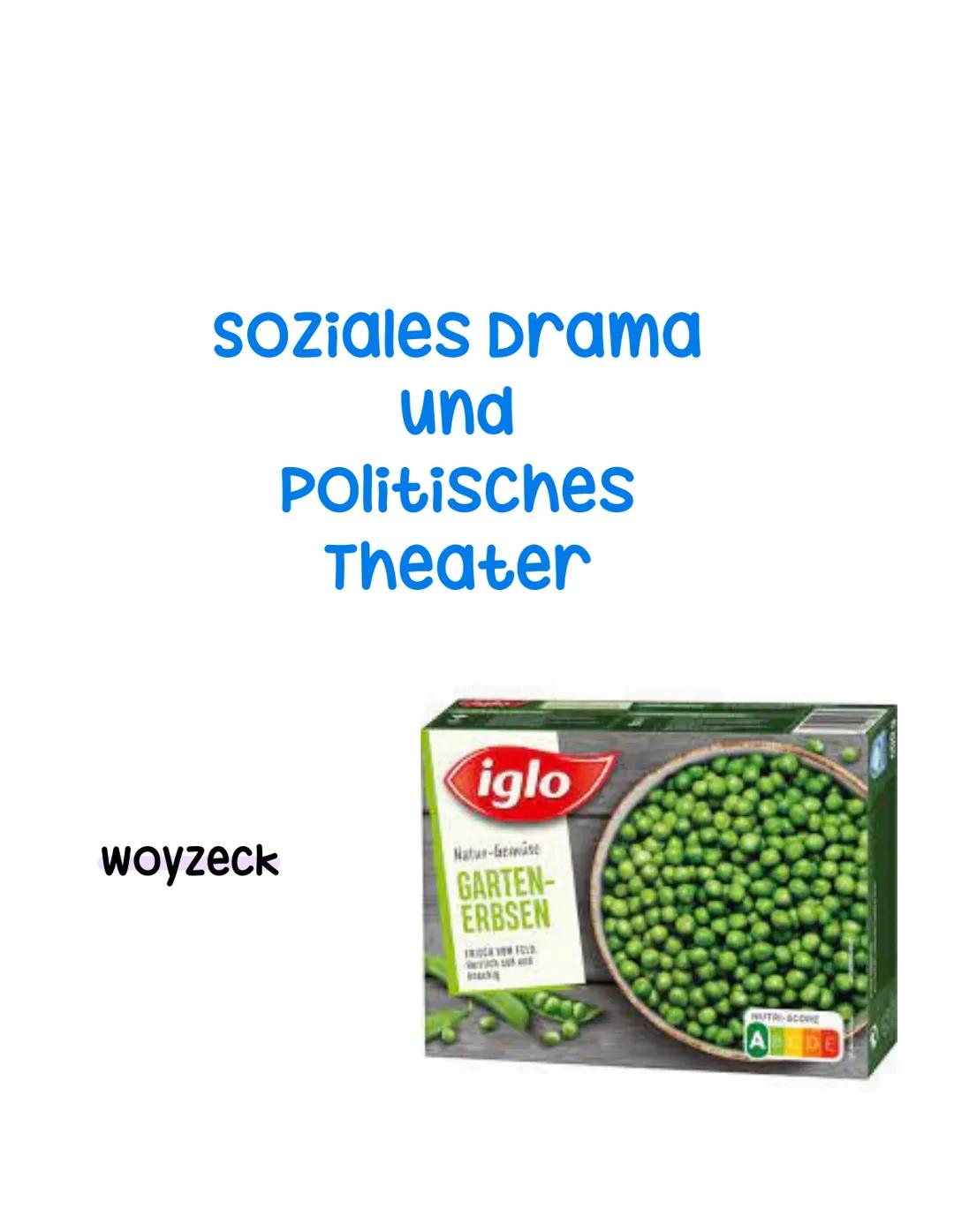 Q2.2 Soziales Drama und politisches Theater
grundlegendes Niveau (Grundkurs und Leistungskurs)
- ein soziales oder politisches Drama aus de