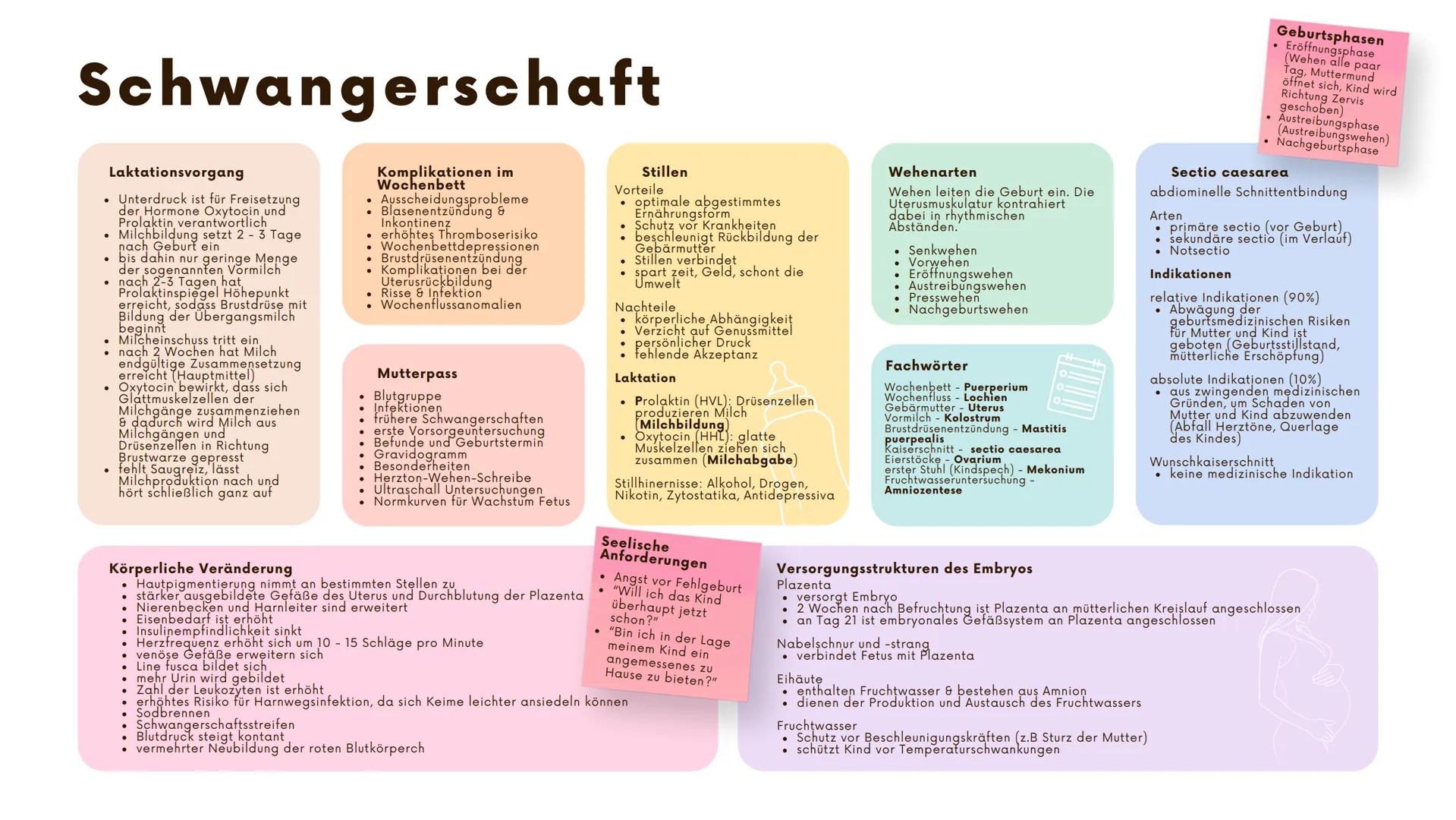# Schwangerschaft
## Laktationsvorgang
* Unterdruck ist für Freisetzung
der Hormone Oxytocin und
Prolaktin verantwortlich
* Mi