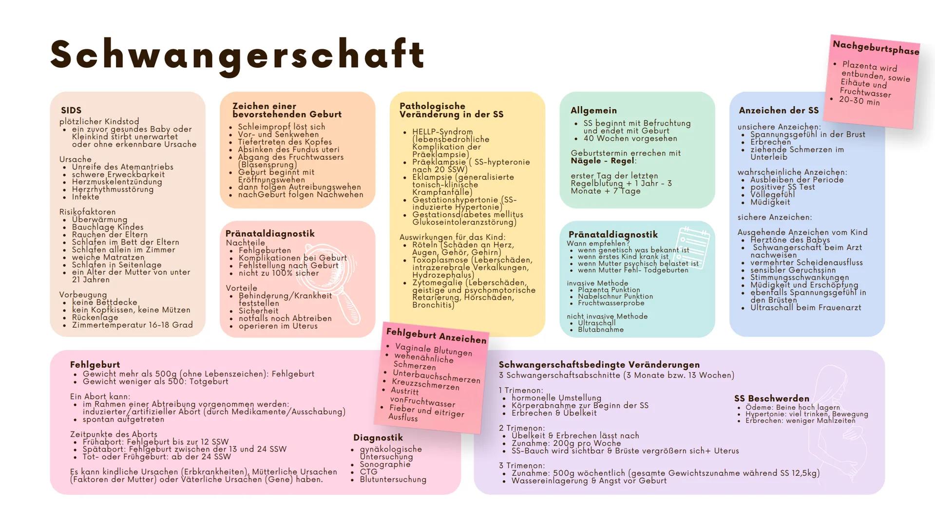 # Schwangerschaft
## Laktationsvorgang
* Unterdruck ist für Freisetzung
der Hormone Oxytocin und
Prolaktin verantwortlich
* Mi