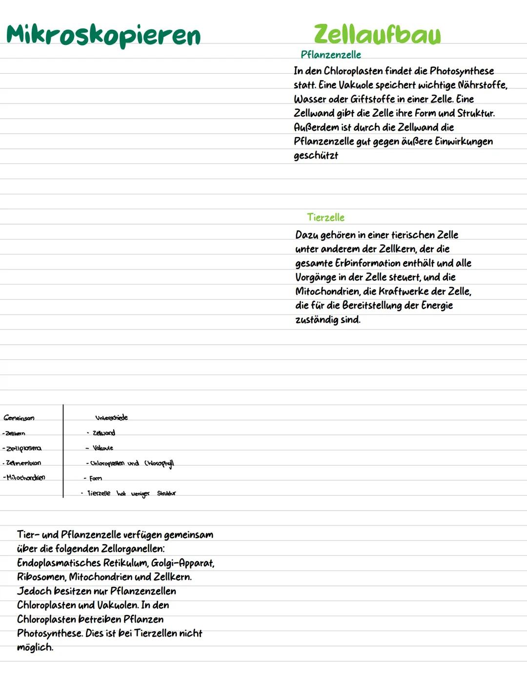 Mikroskopieren
Aufbau
Zellaufbau
Aufbau des Lichtmikroskops
Tubus
Objektrevolver
Objektive
Objektträger
Kondensor
Okular
Grobtrieb
Feintrieb