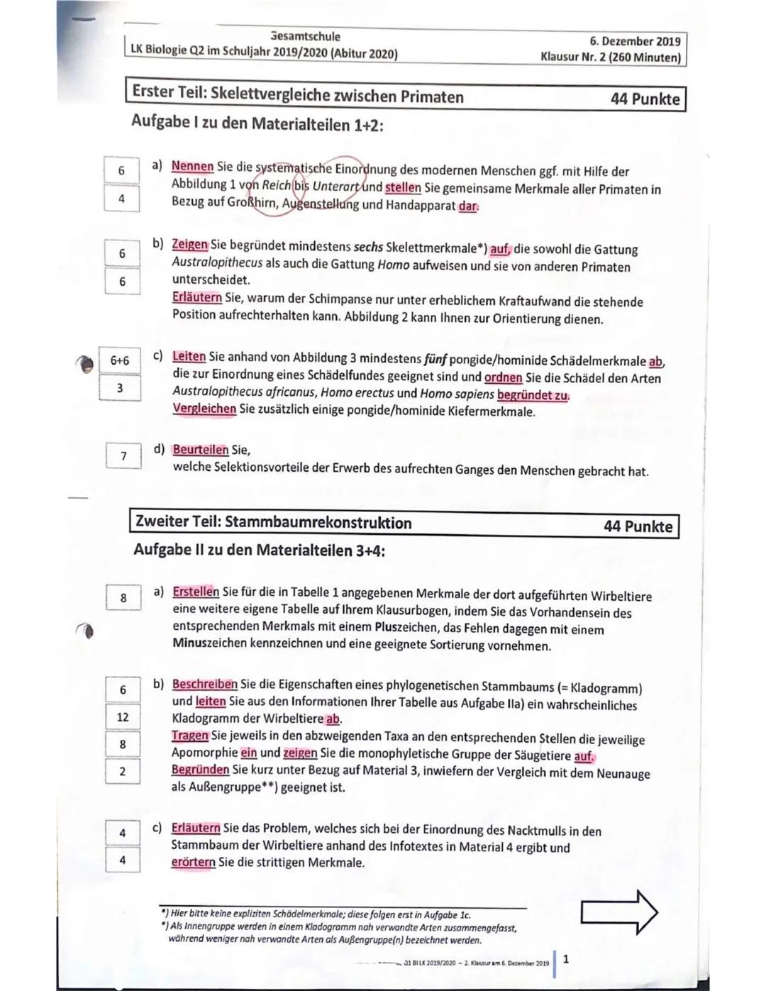 Gesamtschule
LK Biologie Q2 im Schuljahr 2019/2020 (Abitur 2020)
6. Dezember 2019
Klausur Nr. 2 (260 Minuten)
Erster Teil: Skelettvergleich