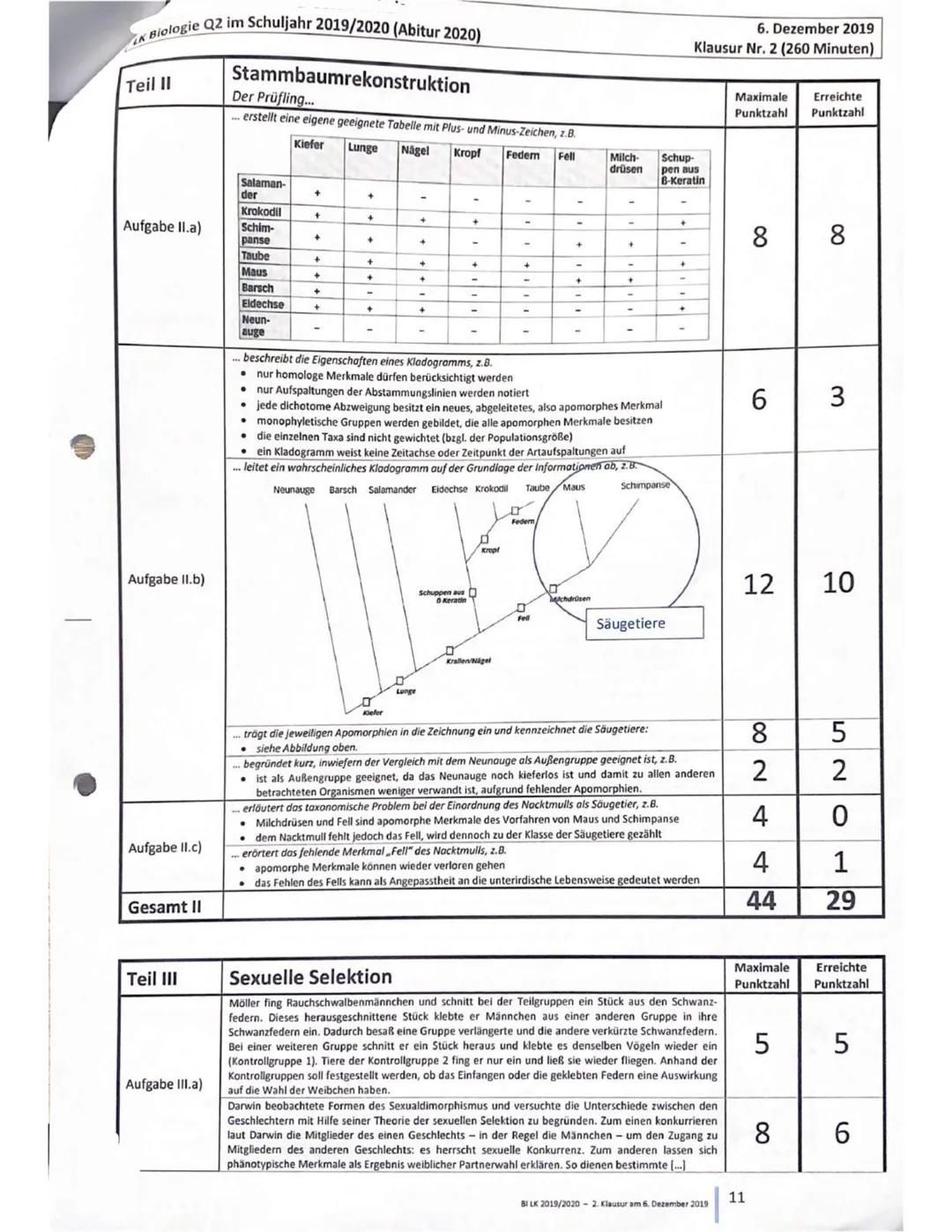 Gesamtschule
LK Biologie Q2 im Schuljahr 2019/2020 (Abitur 2020)
6. Dezember 2019
Klausur Nr. 2 (260 Minuten)
Erster Teil: Skelettvergleich