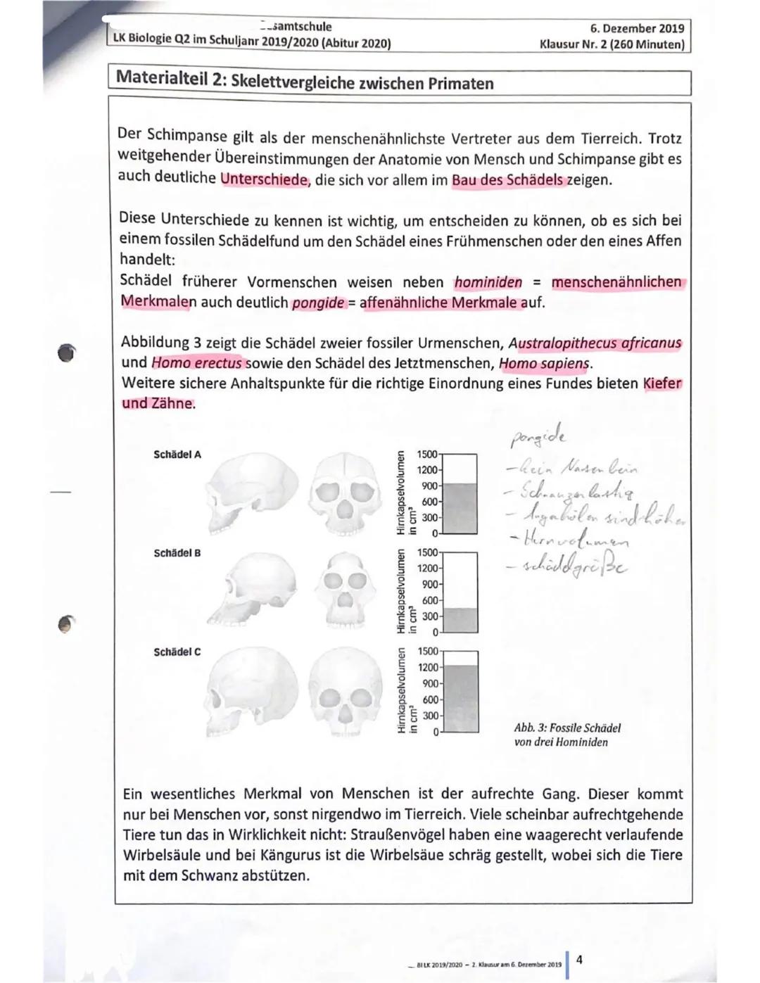 Gesamtschule
LK Biologie Q2 im Schuljahr 2019/2020 (Abitur 2020)
6. Dezember 2019
Klausur Nr. 2 (260 Minuten)
Erster Teil: Skelettvergleich