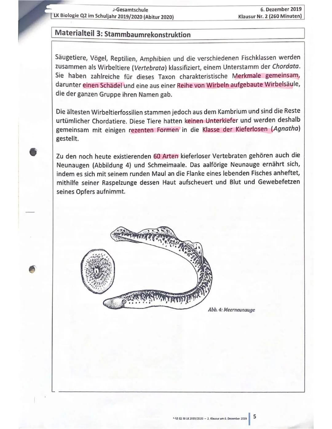 Gesamtschule
LK Biologie Q2 im Schuljahr 2019/2020 (Abitur 2020)
6. Dezember 2019
Klausur Nr. 2 (260 Minuten)
Erster Teil: Skelettvergleich