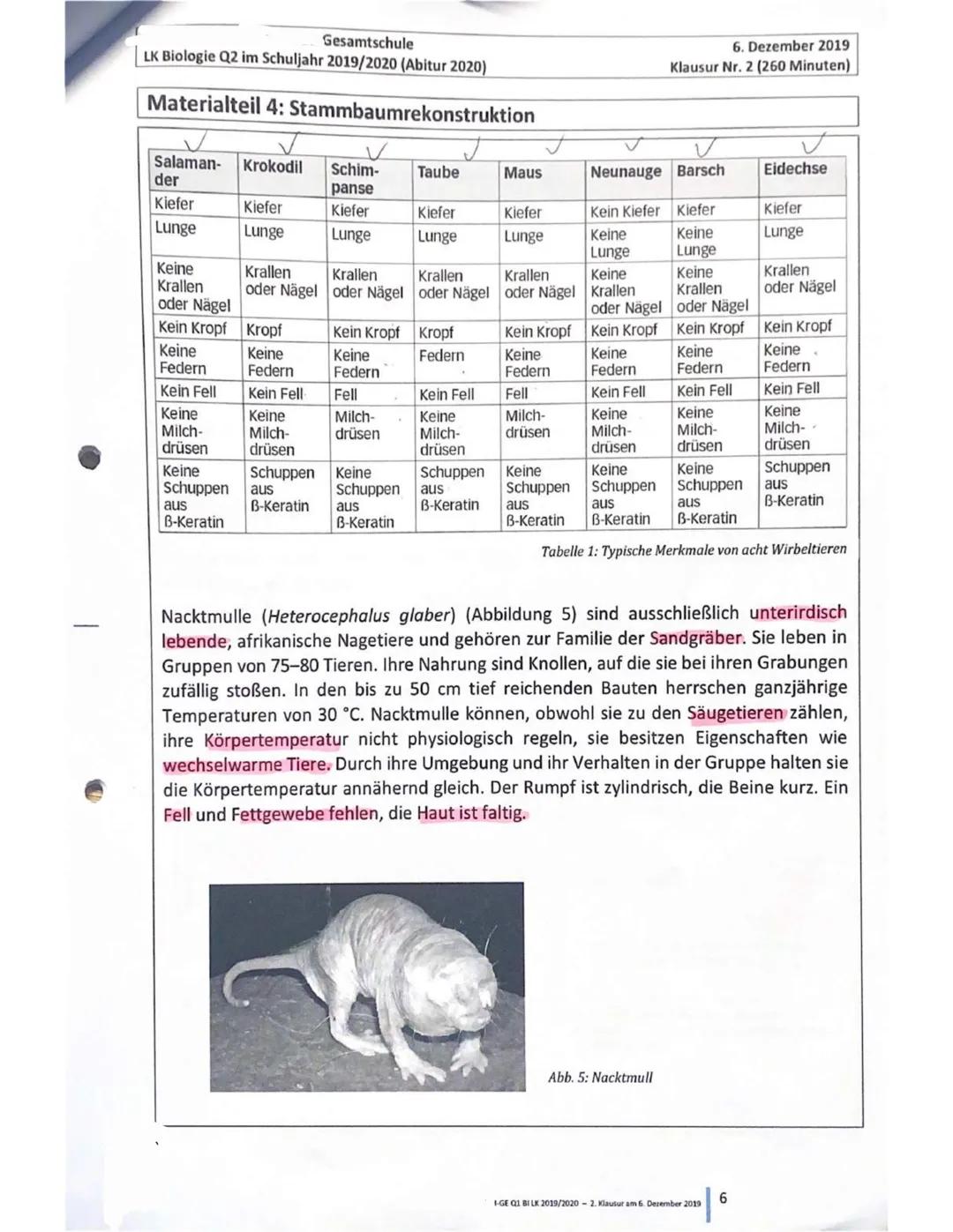 Gesamtschule
LK Biologie Q2 im Schuljahr 2019/2020 (Abitur 2020)
6. Dezember 2019
Klausur Nr. 2 (260 Minuten)
Erster Teil: Skelettvergleich