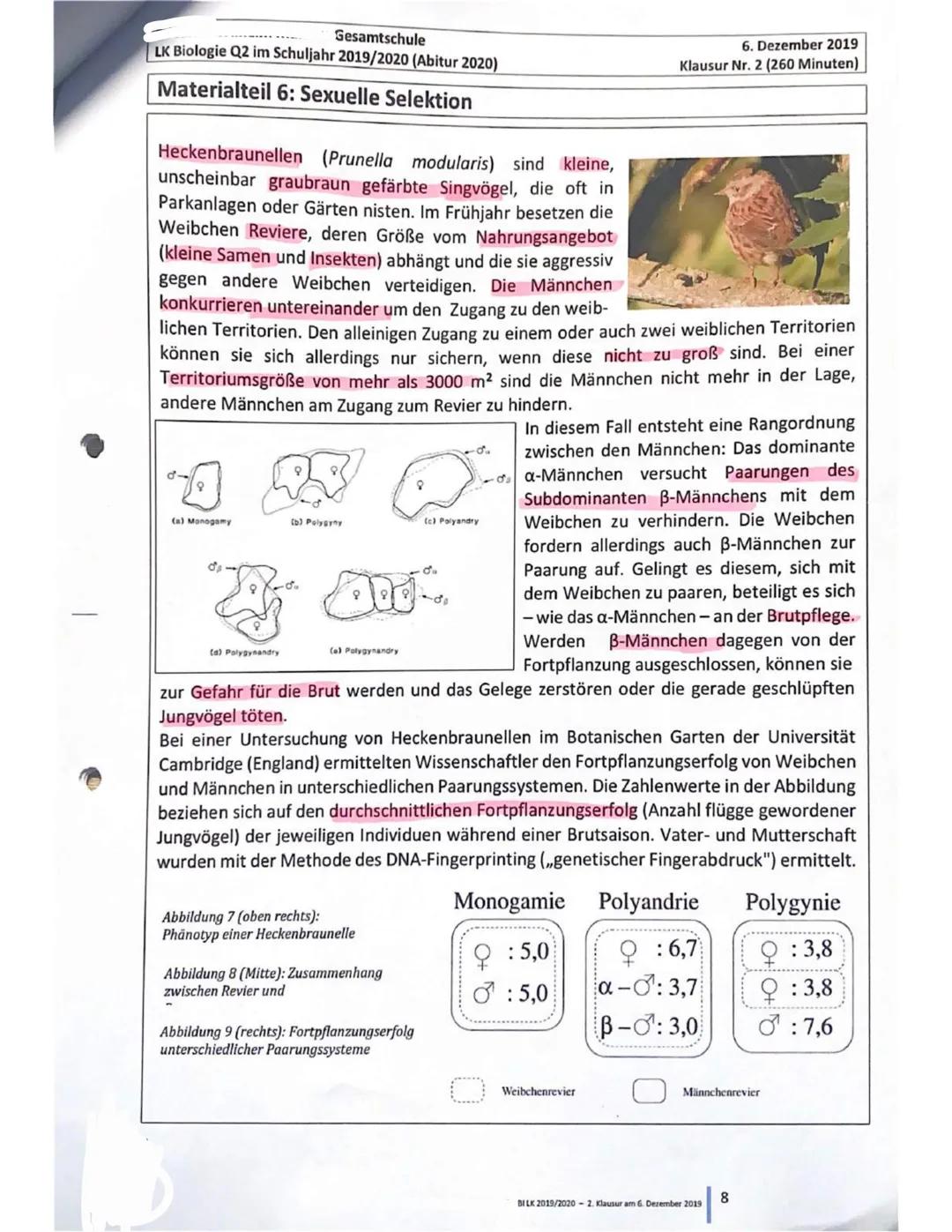 Gesamtschule
LK Biologie Q2 im Schuljahr 2019/2020 (Abitur 2020)
6. Dezember 2019
Klausur Nr. 2 (260 Minuten)
Erster Teil: Skelettvergleich