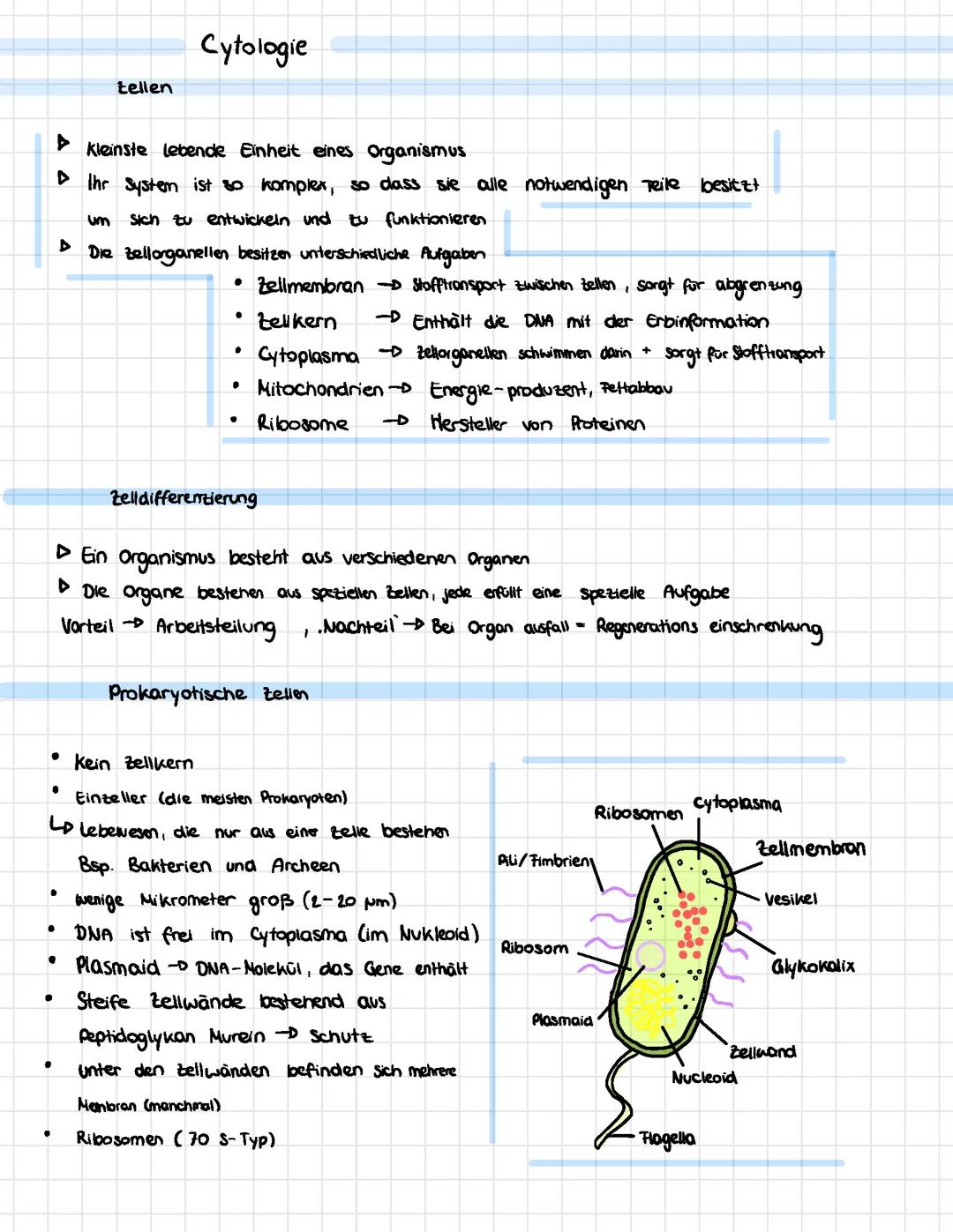 Cytologie- Prokaryoten&Eukaryoten