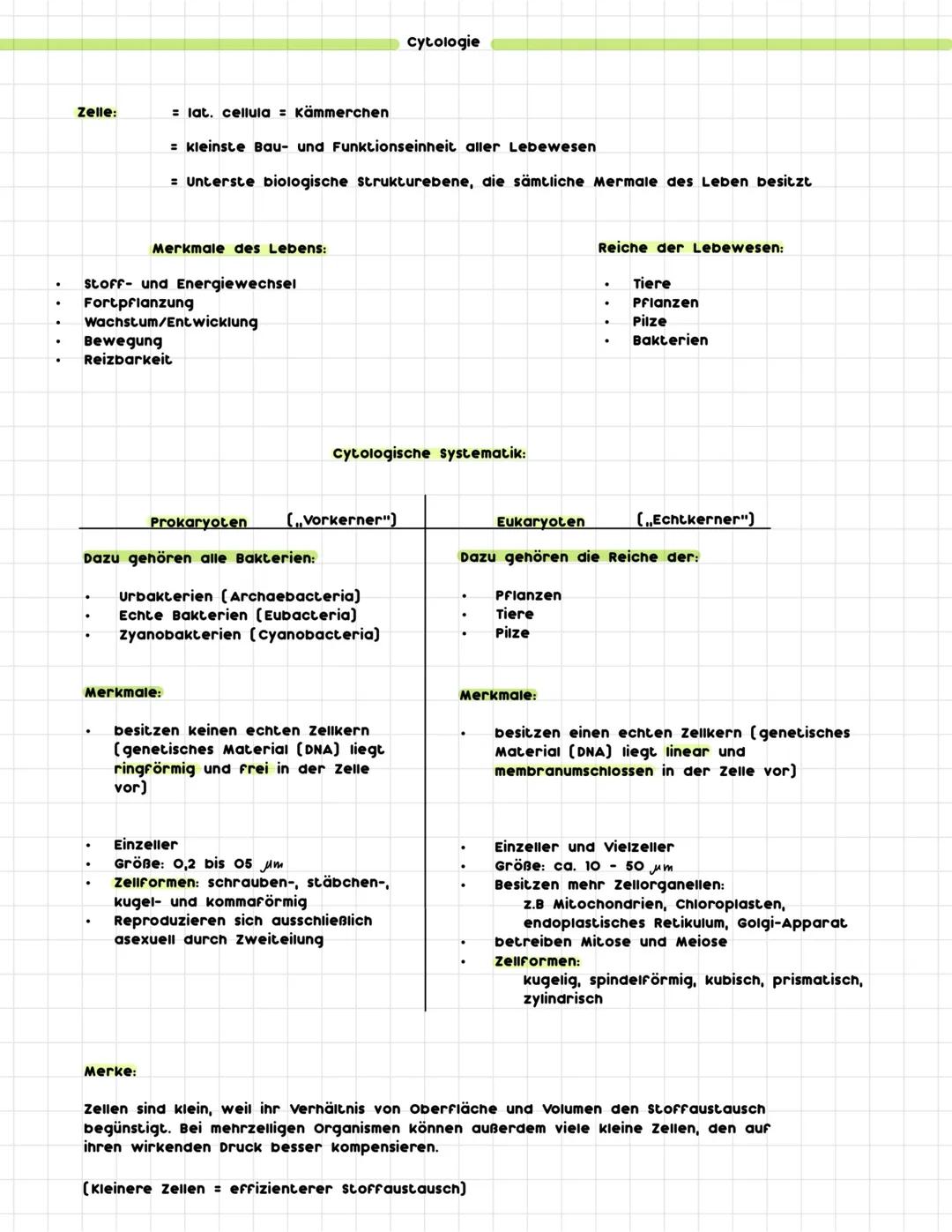 Cytologie, Klasse 11 Biologie LK