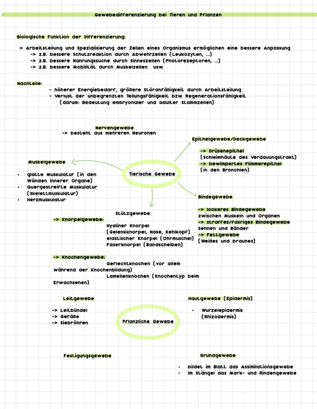 .
.
Zelle:
Cytologie
= lat. cellula = Kämmerchen
= kleinste Bau- und Funktionseinheit aller Lebewesen
= Unterste biologische strukturebene,
