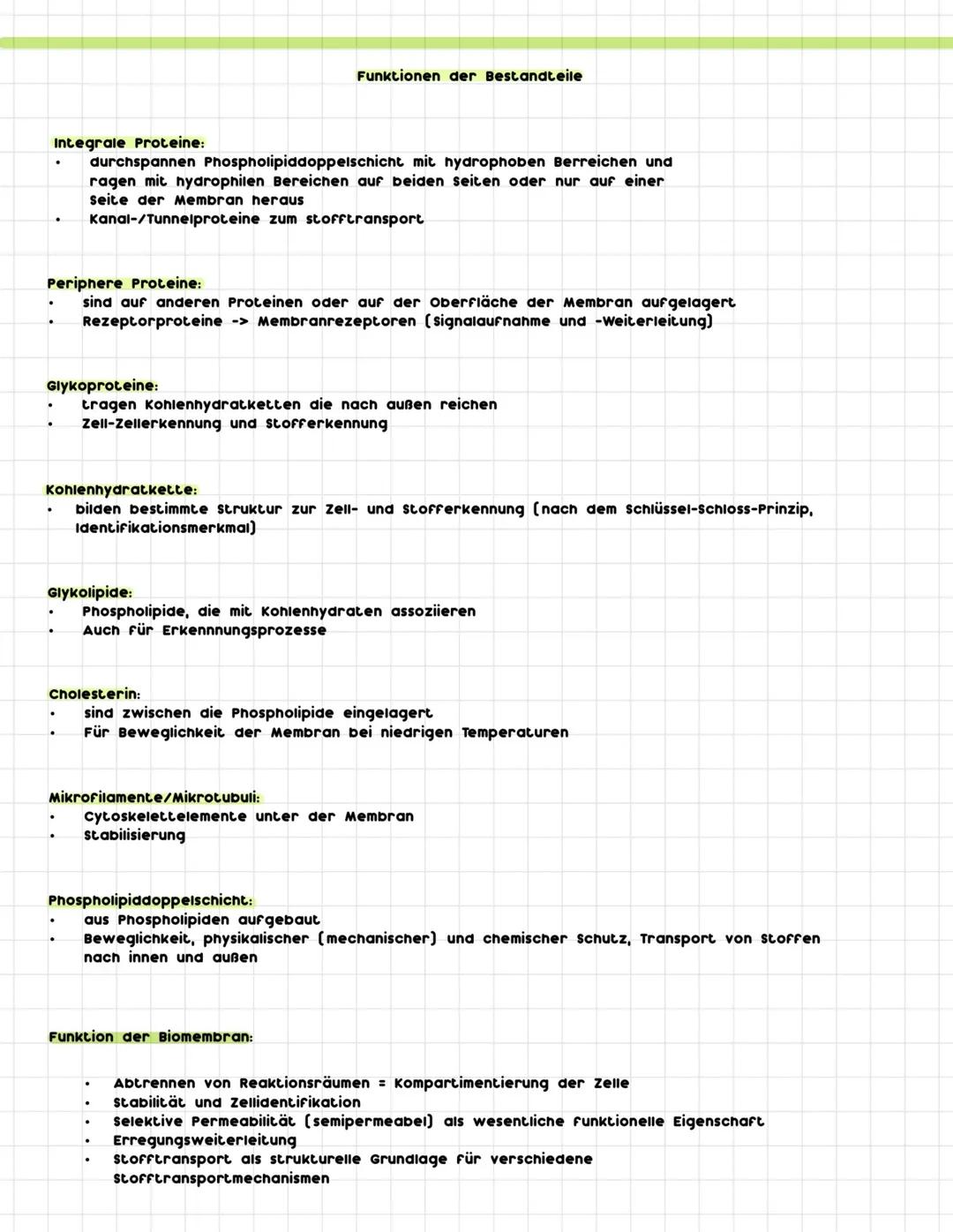 .
.
Zelle:
Cytologie
= lat. cellula = Kämmerchen
= kleinste Bau- und Funktionseinheit aller Lebewesen
= Unterste biologische strukturebene,