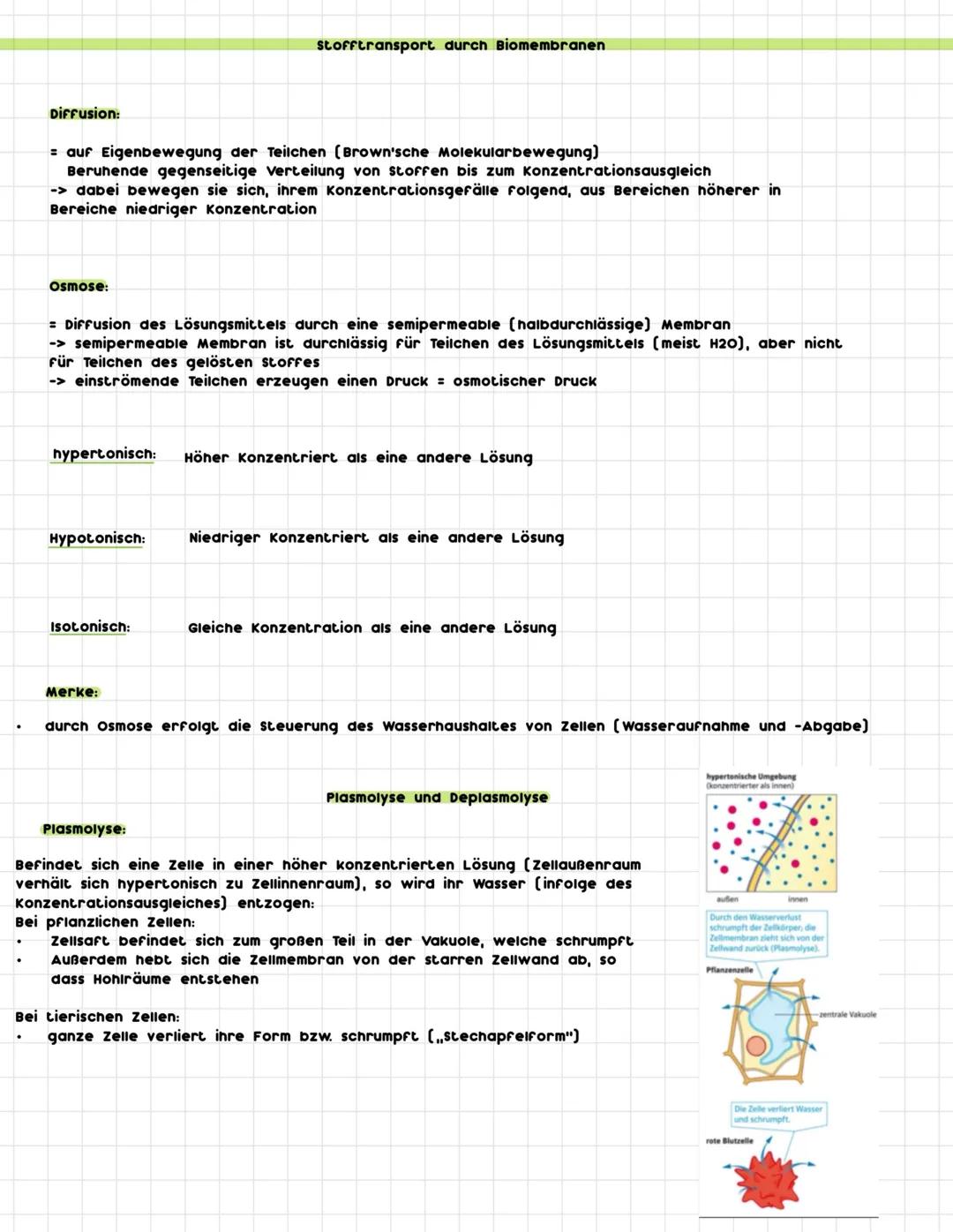 .
.
Zelle:
Cytologie
= lat. cellula = Kämmerchen
= kleinste Bau- und Funktionseinheit aller Lebewesen
= Unterste biologische strukturebene,