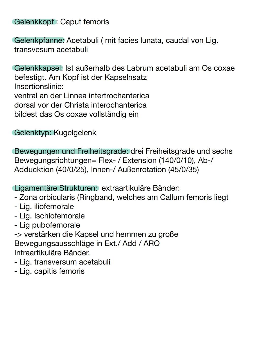 Facies
glutea
Spina iliaca
posterior
superior
(Sips)
Corpus
ossis illii
Os coxae
Crista iliaca
Ala ossis ilii-
Spina iliaca anterior
superio