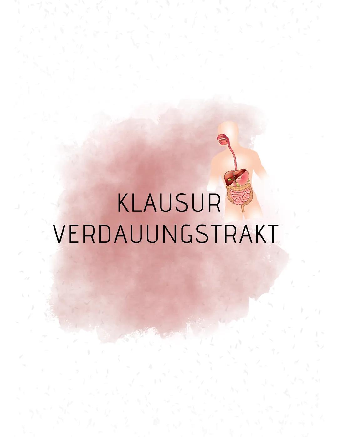 Verdauungstrakt - von Mund bis After