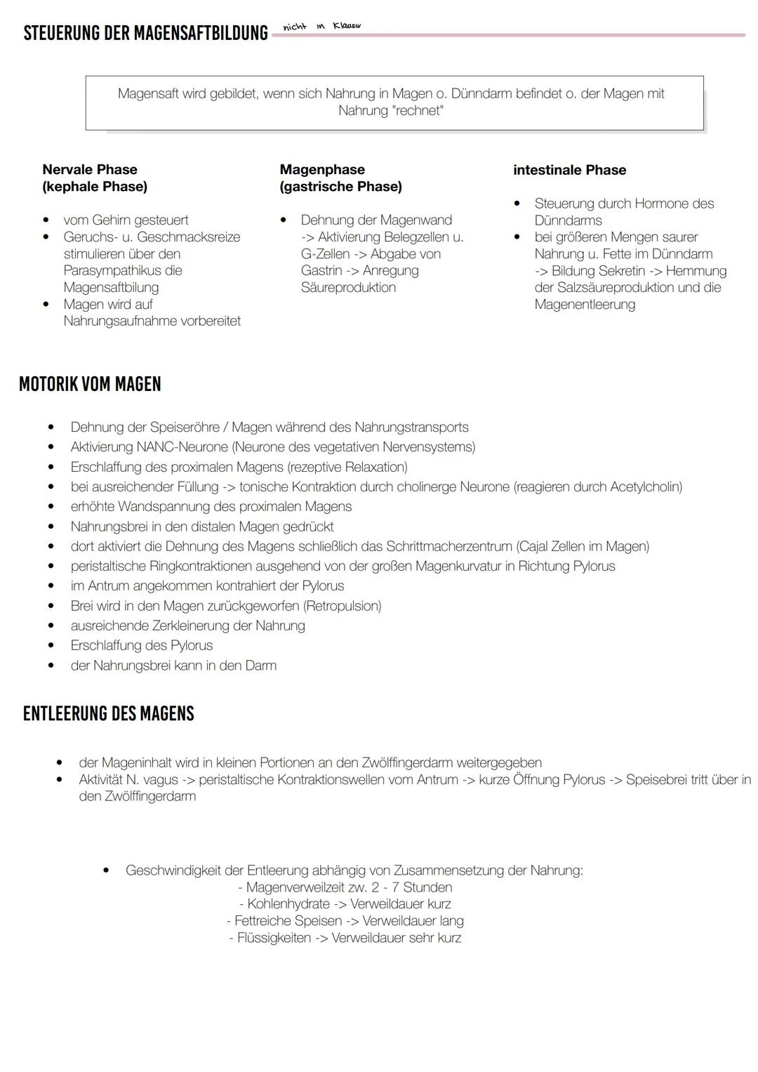KLAUSUR
VERDAUUNGSTRAKT Oberer Verdauungsabschnitt
Mundhöhle mit Junge, Zähne,
Speicheldrüsen & Gaumen
- Rachen
- Speiseröhre
Mittlerer Verd