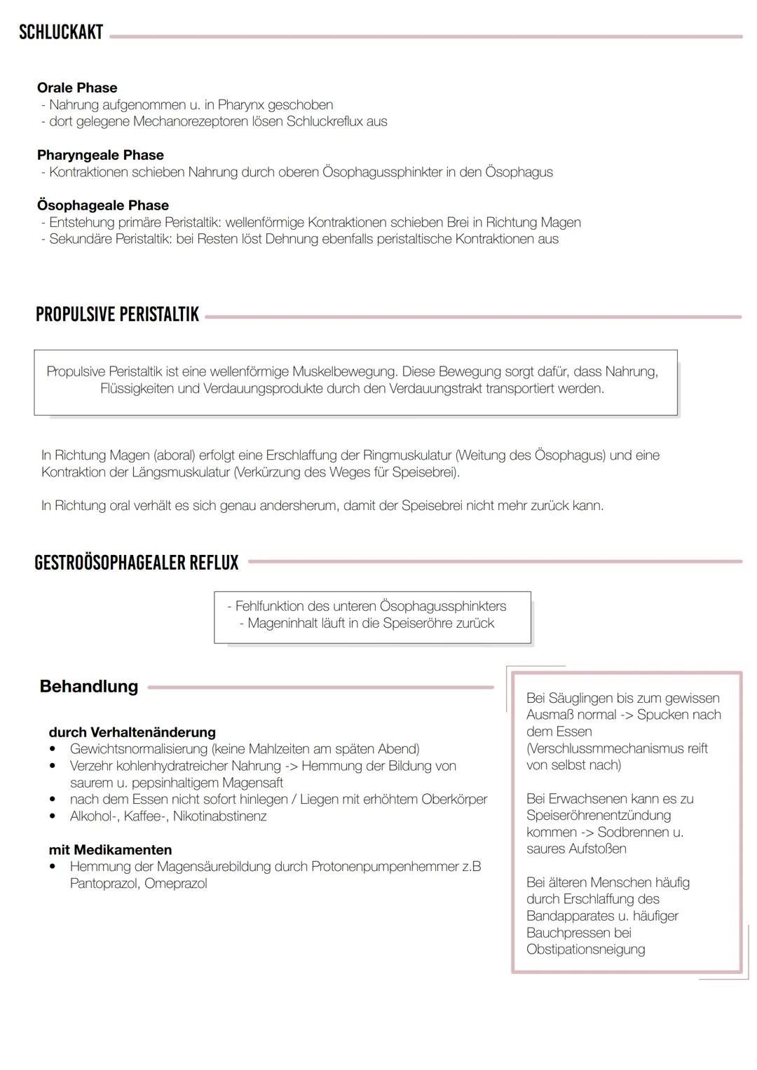 KLAUSUR
VERDAUUNGSTRAKT Oberer Verdauungsabschnitt
Mundhöhle mit Junge, Zähne,
Speicheldrüsen & Gaumen
- Rachen
- Speiseröhre
Mittlerer Verd