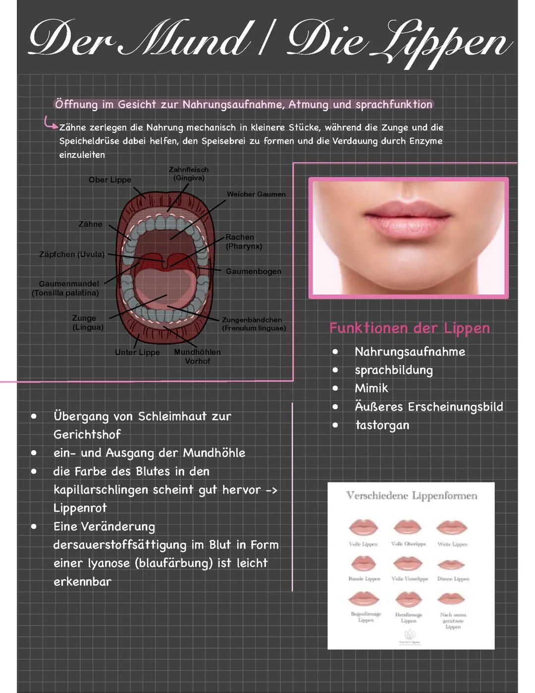 Mund- und Zahnpflege
