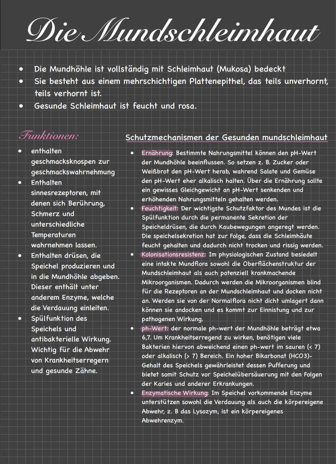 Der Mund/Die Lippen
Öffnung im Gesicht zur Nahrungsaufnahme, Atmung und sprachfunktion
LZähne zerlegen die Nahrung mechanisch in kleinere St