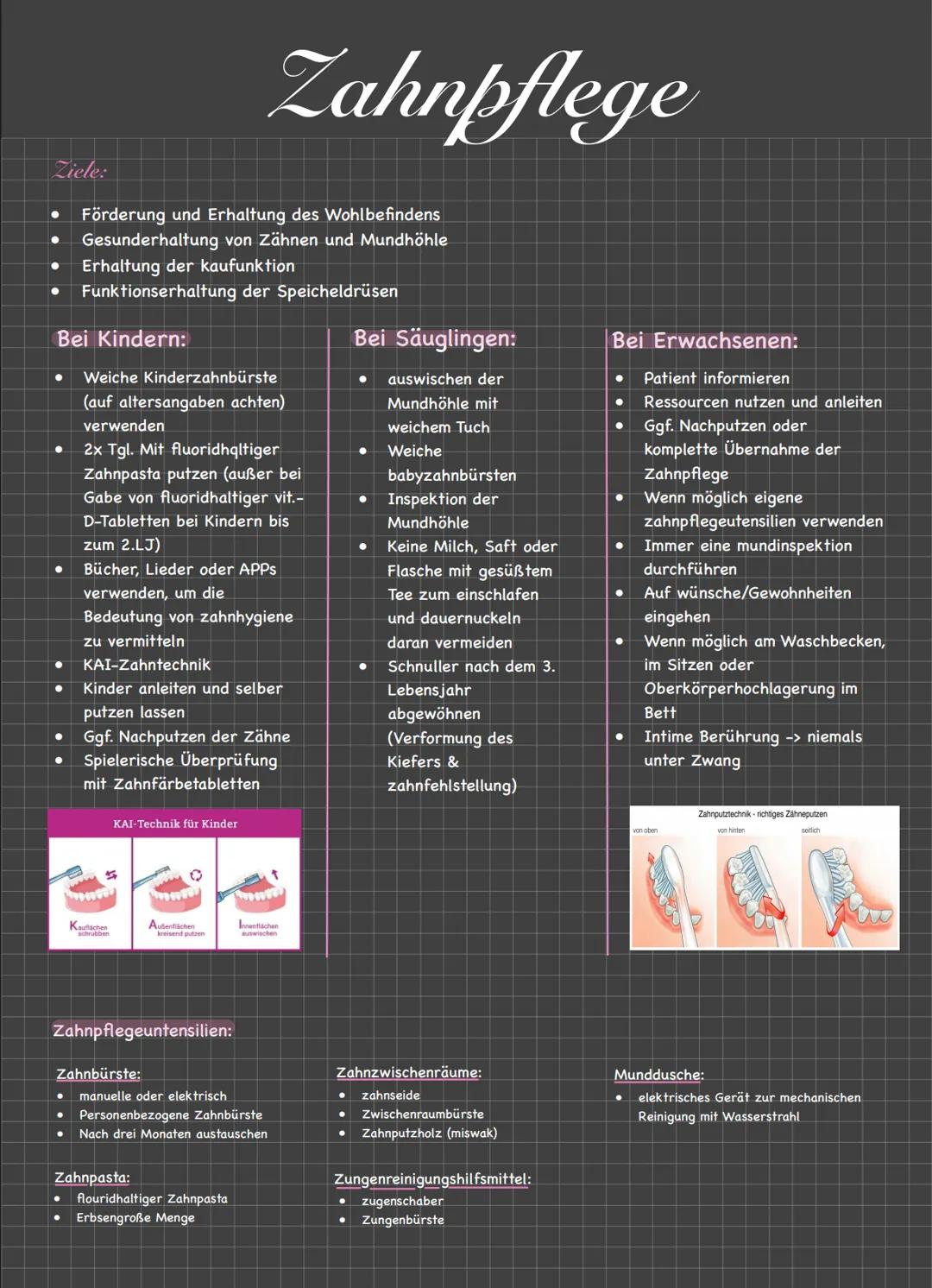 Der Mund/Die Lippen
Öffnung im Gesicht zur Nahrungsaufnahme, Atmung und sprachfunktion
LZähne zerlegen die Nahrung mechanisch in kleinere St