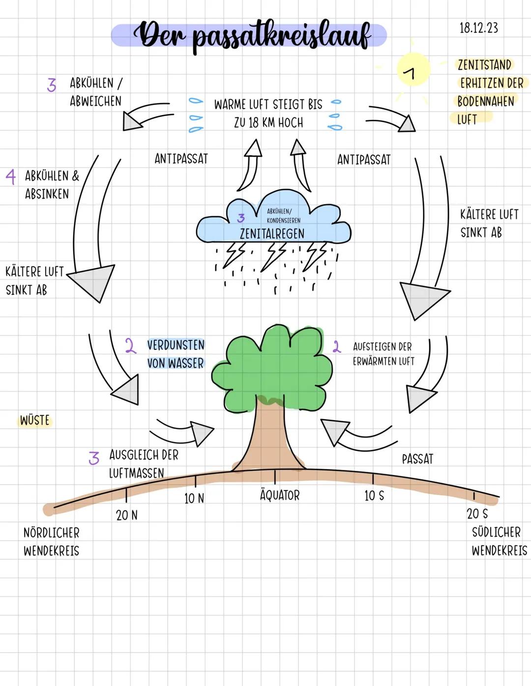 3 ABKÜHLEN/
ABWEICHEN
Der passatkreislauf
18.12.23
ZENITSTAND
WARME LUFT STEIGT BIS
ZU 18 KM HOCH
1
ERHITZEN DER
BODENNAHEN
LUFT
ANTIPASSAT