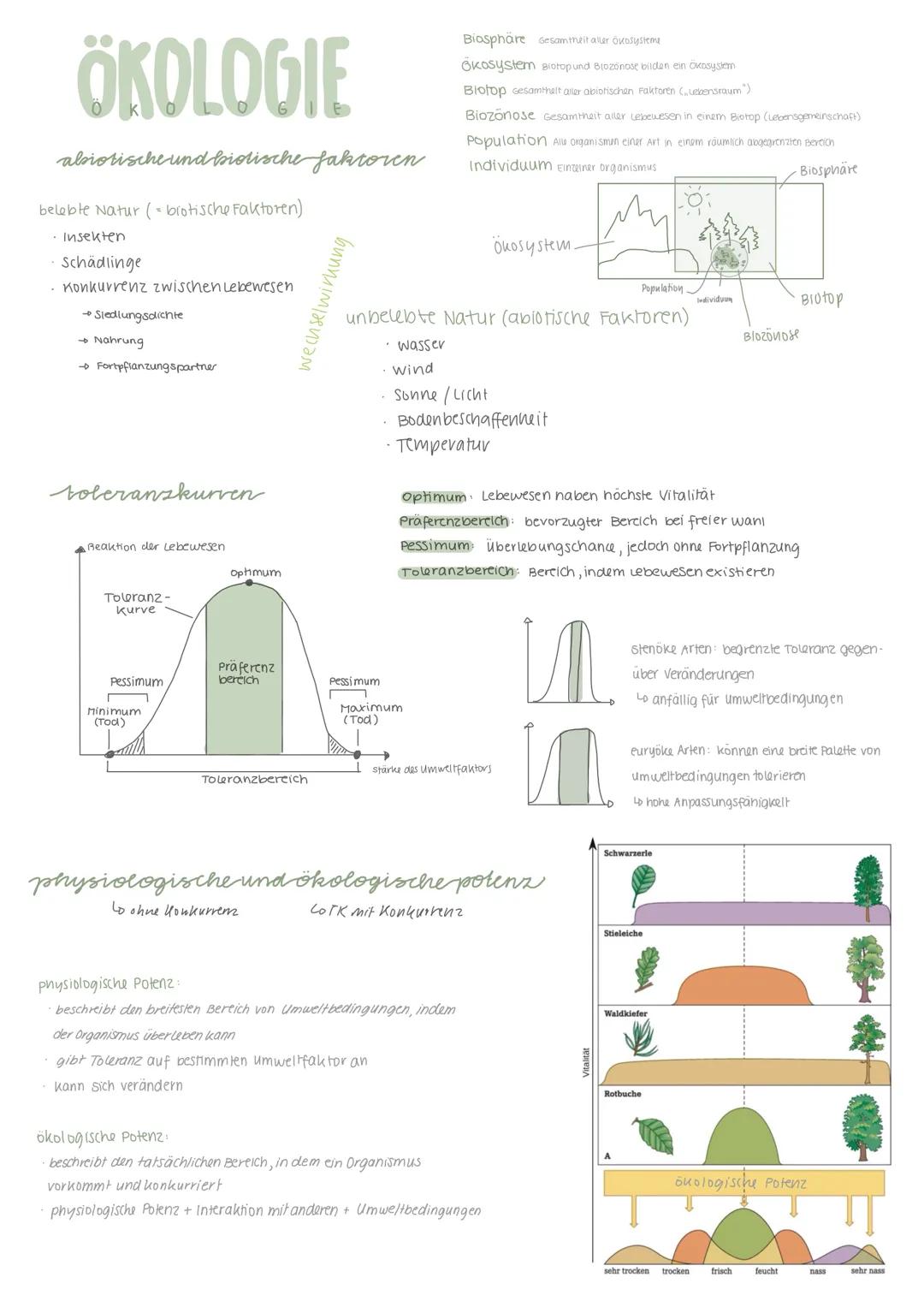 # ÖKOLOGIE
abiotische und biotische faktoren
belebte Natur (brotische Faktoren)
* Insekten
* Schädlinge
* Konkurrenz zwischen Lebewe