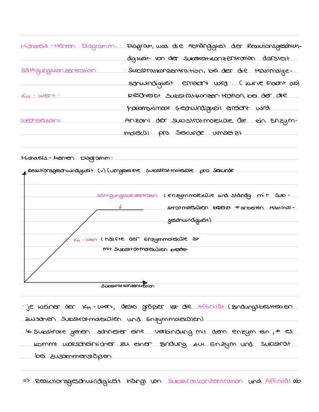 LERNZETTEL ENZYME
Proteine
· sind Nährstoffe
• Eiweiße
· liefern aus der Nahrung
=> können. als Enzyme
Aufbau:
· 4 Ebenen:
Protein faltung
ه