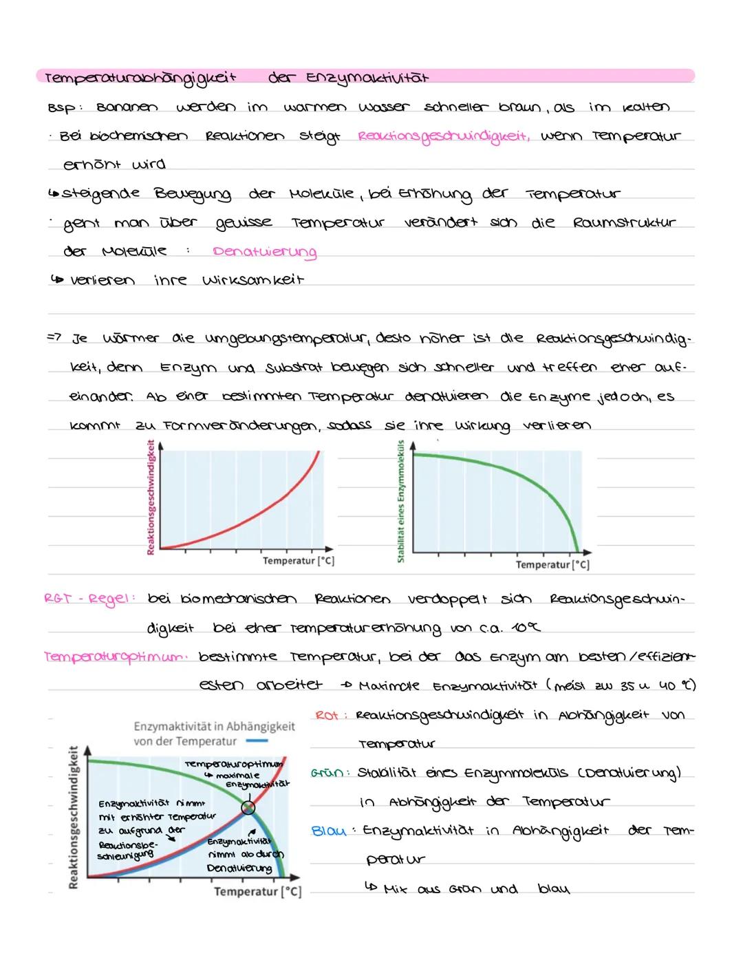 LERNZETTEL ENZYME
Proteine
· sind Nährstoffe
• Eiweiße
· liefern aus der Nahrung
=> können. als Enzyme
Aufbau:
· 4 Ebenen:
Protein faltung
ه