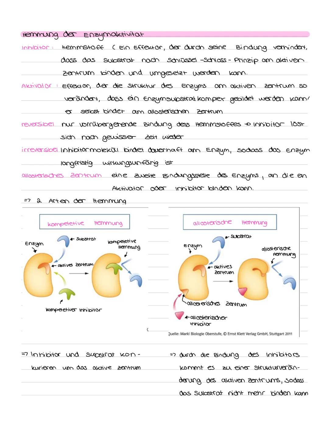 LERNZETTEL ENZYME
Proteine
· sind Nährstoffe
• Eiweiße
· liefern aus der Nahrung
=> können. als Enzyme
Aufbau:
· 4 Ebenen:
Protein faltung
ه