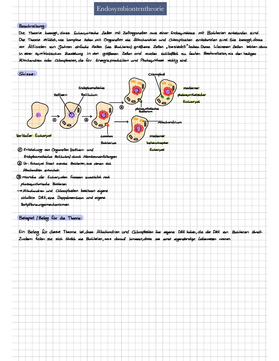 Endosymbiontentheorie