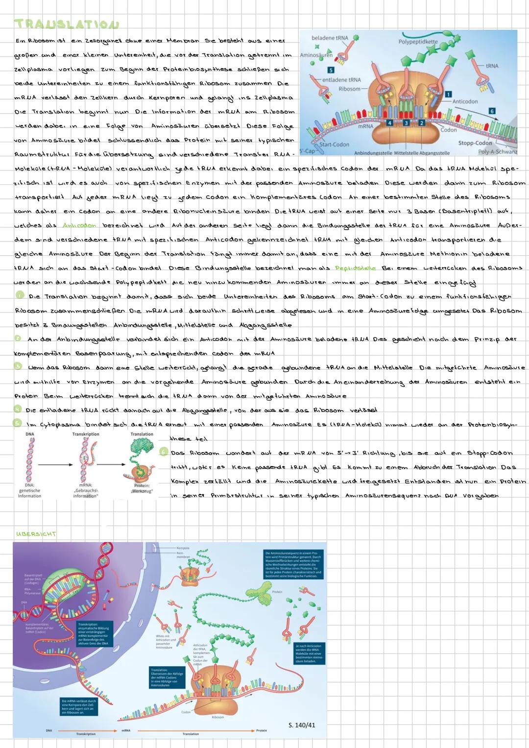 TRAUSLATION
Ein Ribosom ist ein Zellorganell ohne einer Membran Se besteht aus einer
großen and
einer kleinen untereinheit, die vor der Tran