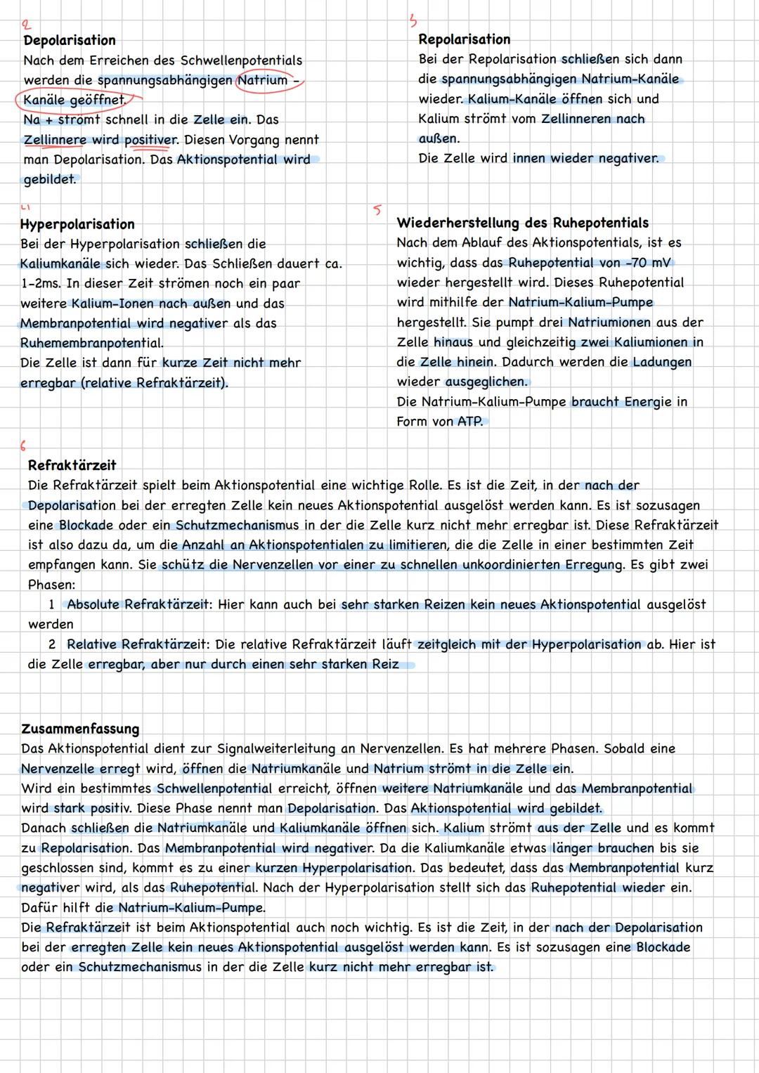 neuron
(Nervenzellen)
Qufbau/Funution
Aufgaben
-übermitteln Informationen von den Sinneszellen an
das Zentrale Nervensystem
integrieren und