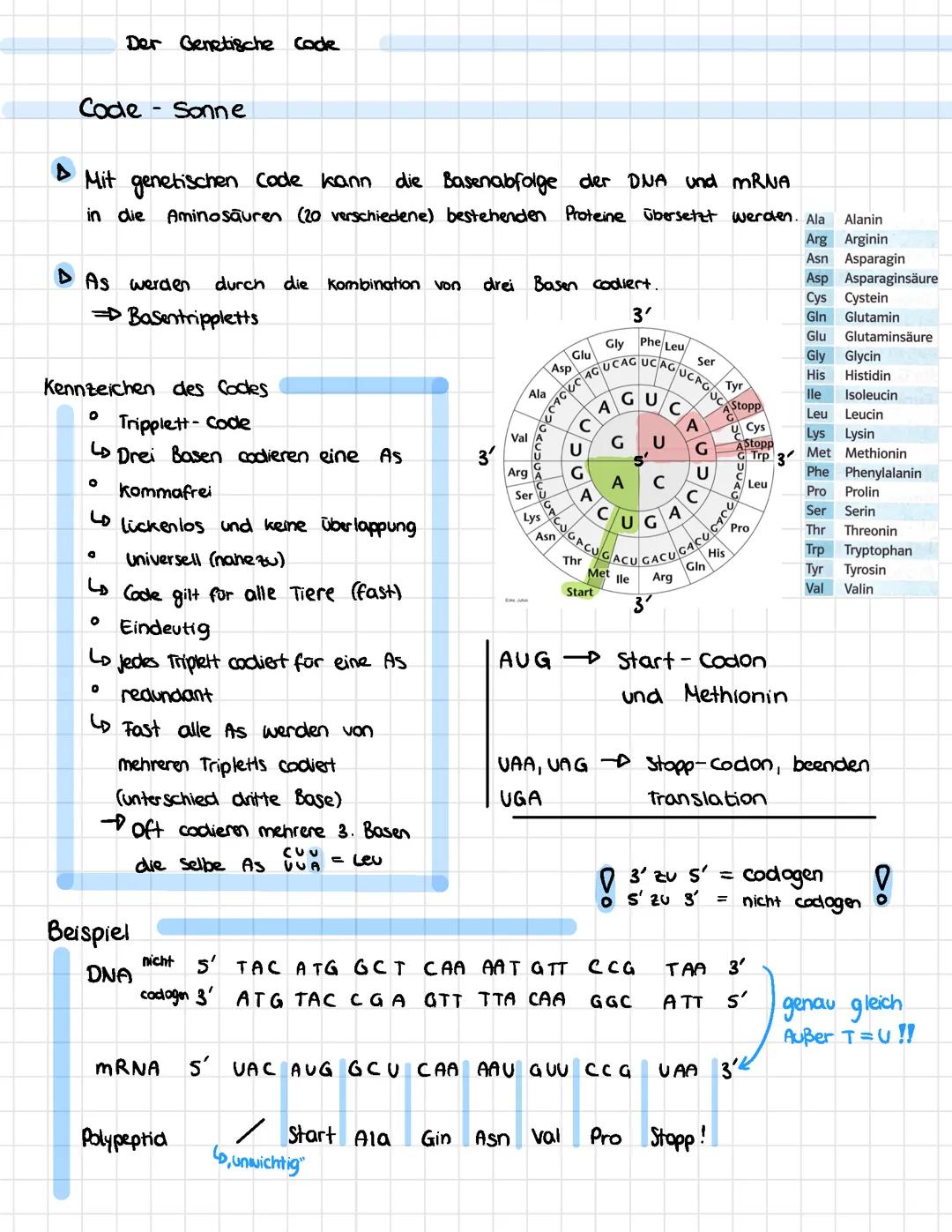 Genetischer Code, Code-Sonne