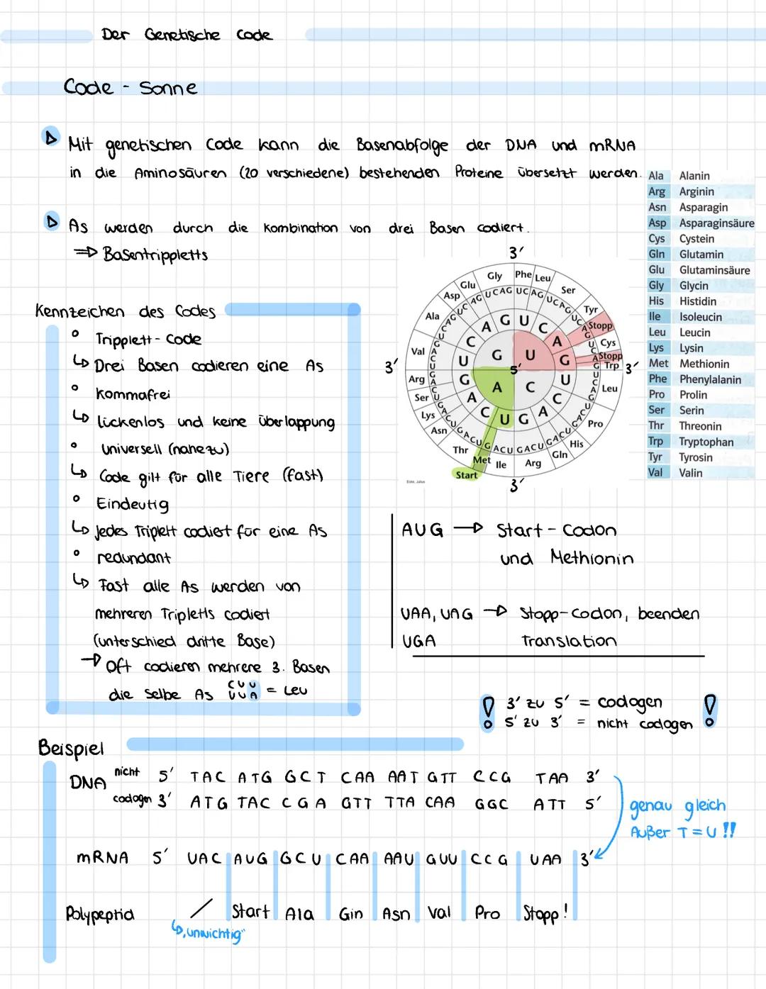 Der Genetische Code
Code
Sonne
Mit
genetischen Code kann.
die
Basenabfolge der DNA und mRNA
in die Aminosäuren (20 verschiedene) bestehenden