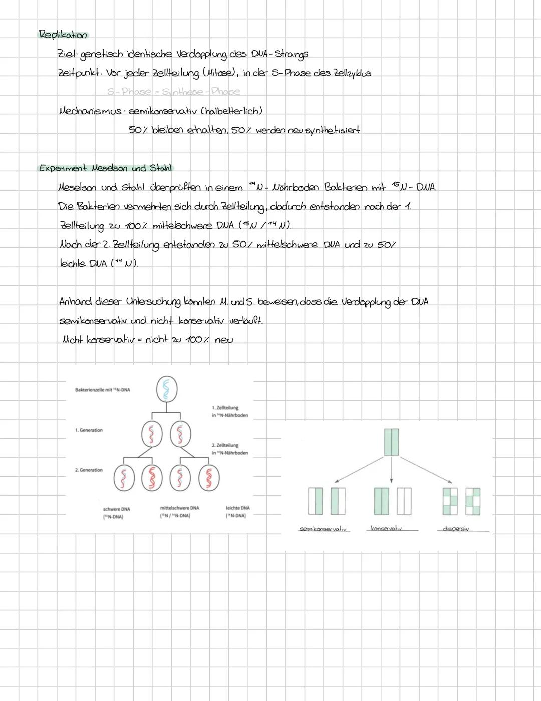 Biologie
Lernzettel
Bau der DNA
3 Bestandteile der DNA - Desoxyribonucleinacid
1. Desoxyribose (Cs - Zucker)
2. Phosphat P
3. vier organisch