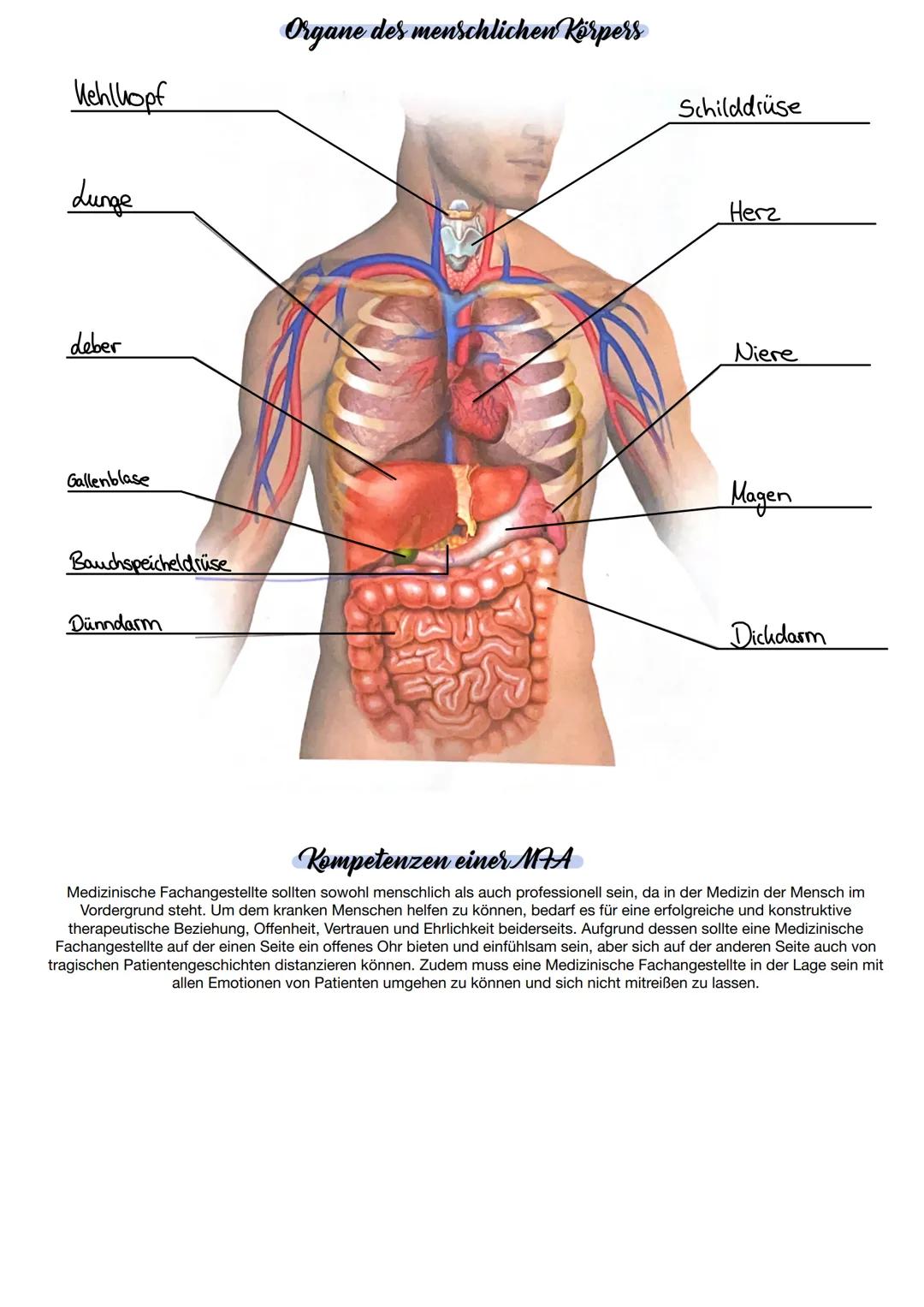 gnifi
aknefs
ilitate
hemfe
mastication and includes the region of the origin of the masticatory
namely the infratemporal fossa, the lateral