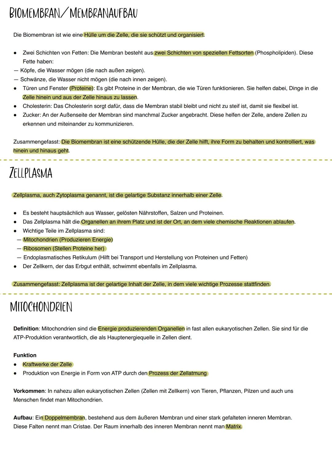 BIOLOGIE LERNZETTEL
THEMEN: ENZYME, KATABOLISMUS UND ANABOLISMUS, ATP, MEMBRANAUFBAU/BIOMEMBRAN, ZELLPLASMA, MITOCHONDRIEN, GLYKOLYSE/GLUKOS
