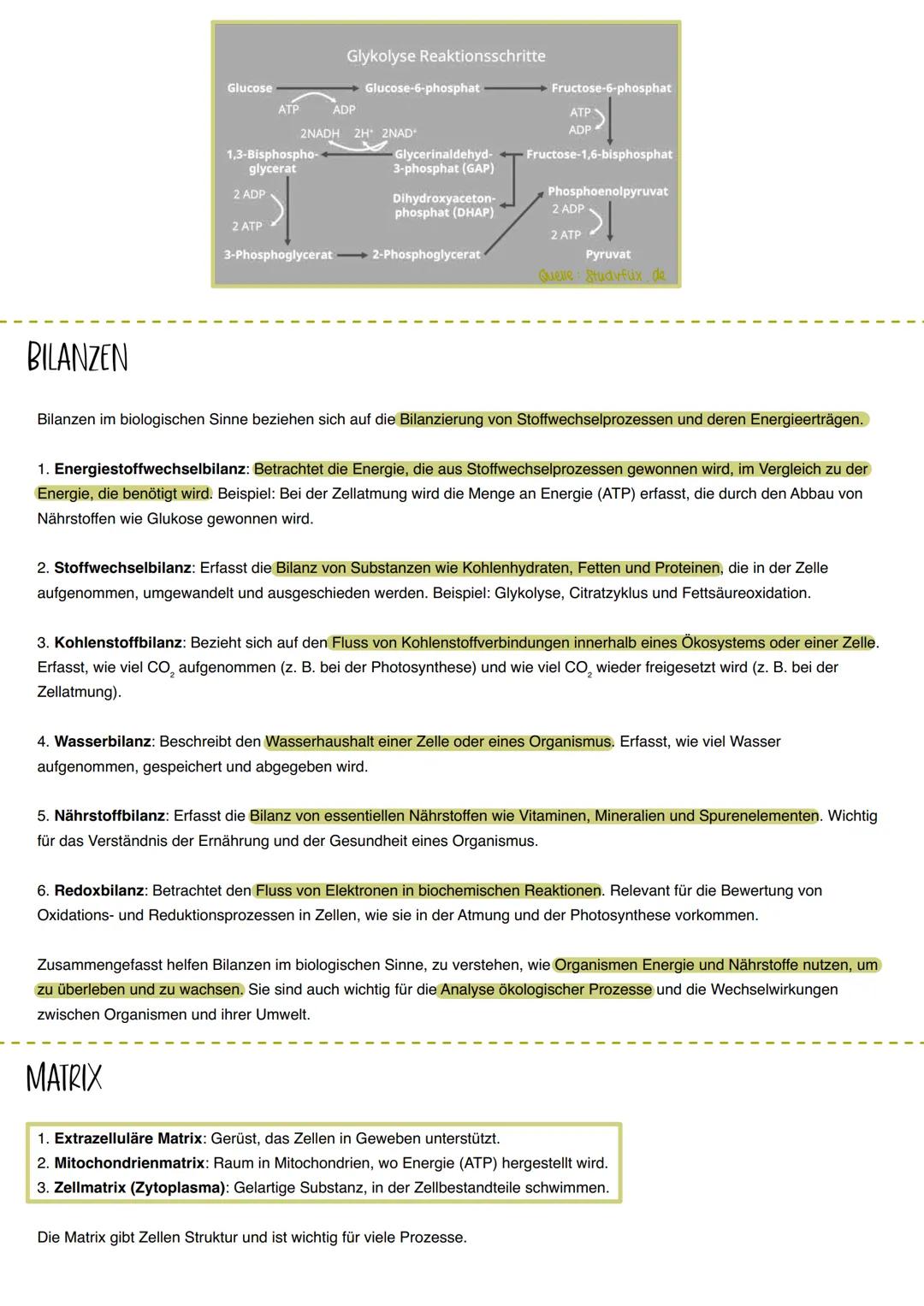 BIOLOGIE LERNZETTEL
THEMEN: ENZYME, KATABOLISMUS UND ANABOLISMUS, ATP, MEMBRANAUFBAU/BIOMEMBRAN, ZELLPLASMA, MITOCHONDRIEN, GLYKOLYSE/GLUKOS