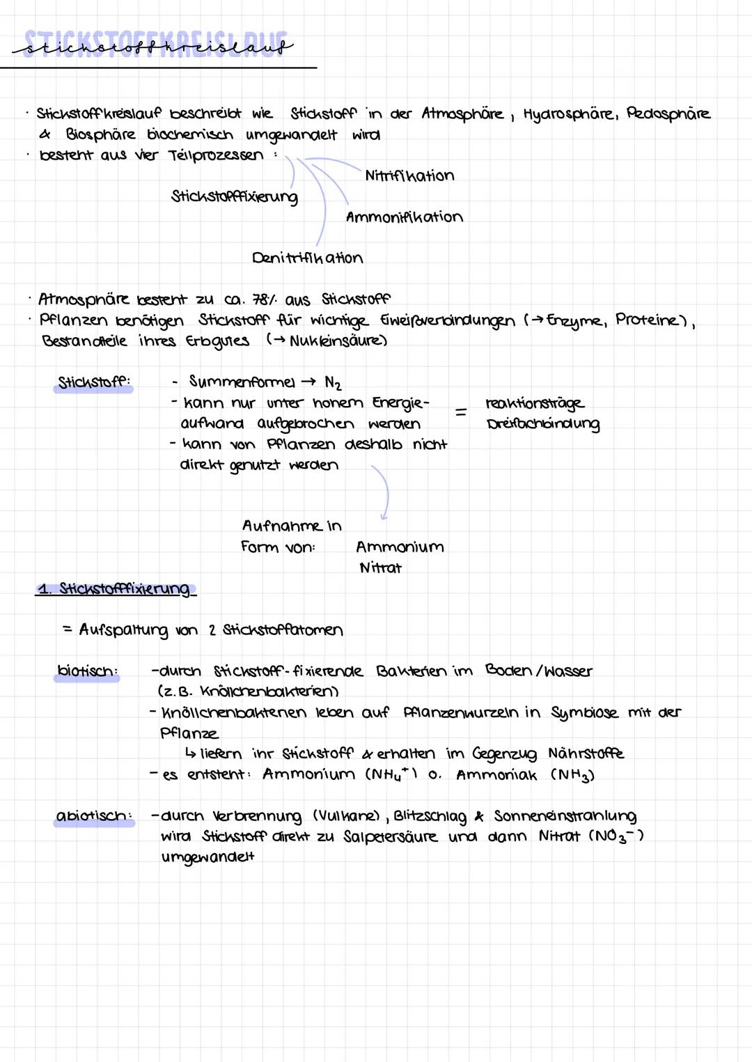 sticnacorcistant
Stickstoffkreislauf beschreibt wie Stickstoff in der Atmosphäre, Hydrosphäre, Pedosphäre
& Biosphäre biochemisch umgewandel
