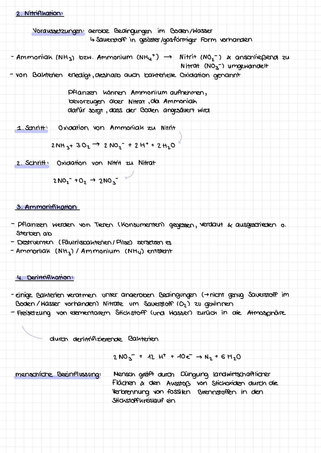 sticnacorcistant
Stickstoffkreislauf beschreibt wie Stickstoff in der Atmosphäre, Hydrosphäre, Pedosphäre
& Biosphäre biochemisch umgewandel