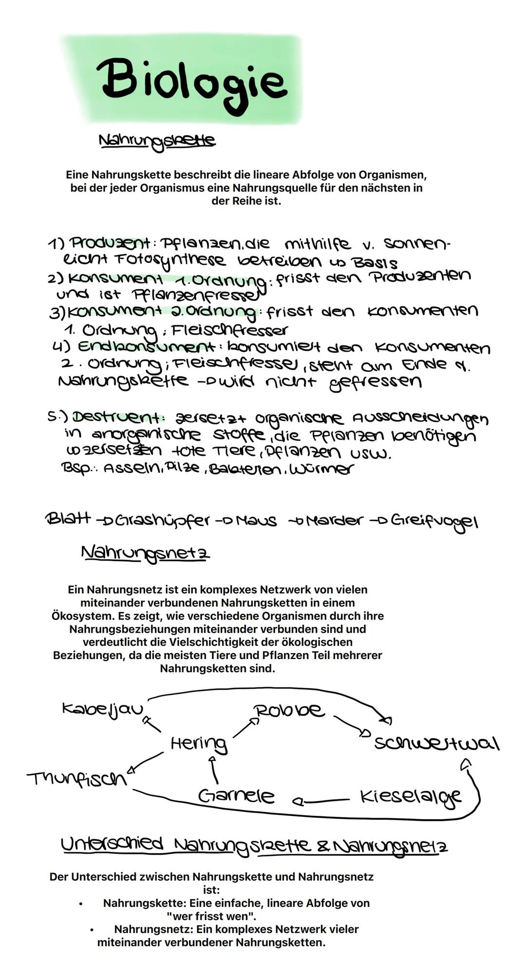 # Biologie
Nahrungskette
Eine Nahrungskette beschreibt die lineare Abfolge von Organismen,
bei der jeder Organismus eine Nahrungsquelle fü