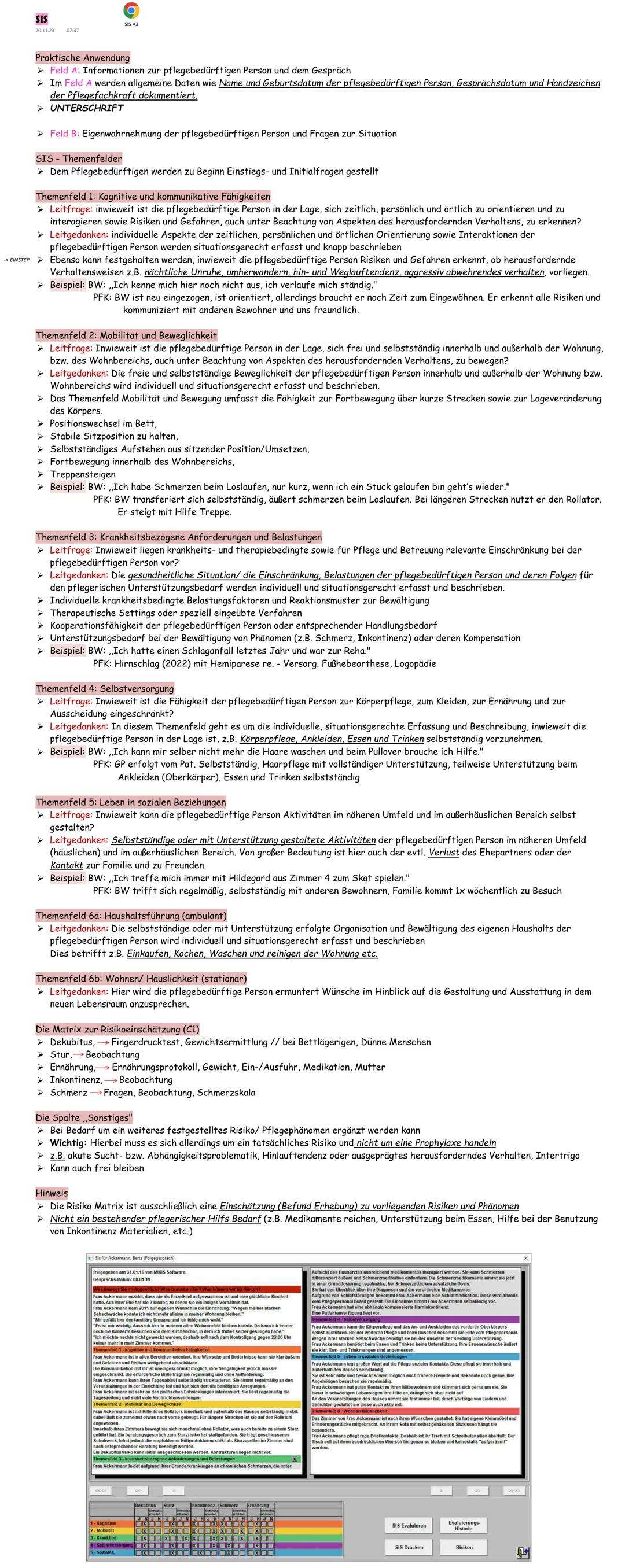 # Praktische Anwendung
> Field A: Informationen zur pflegebedürftigen Person und dem Gespräch
> Im Field A werden allgemeine boten wie Nam