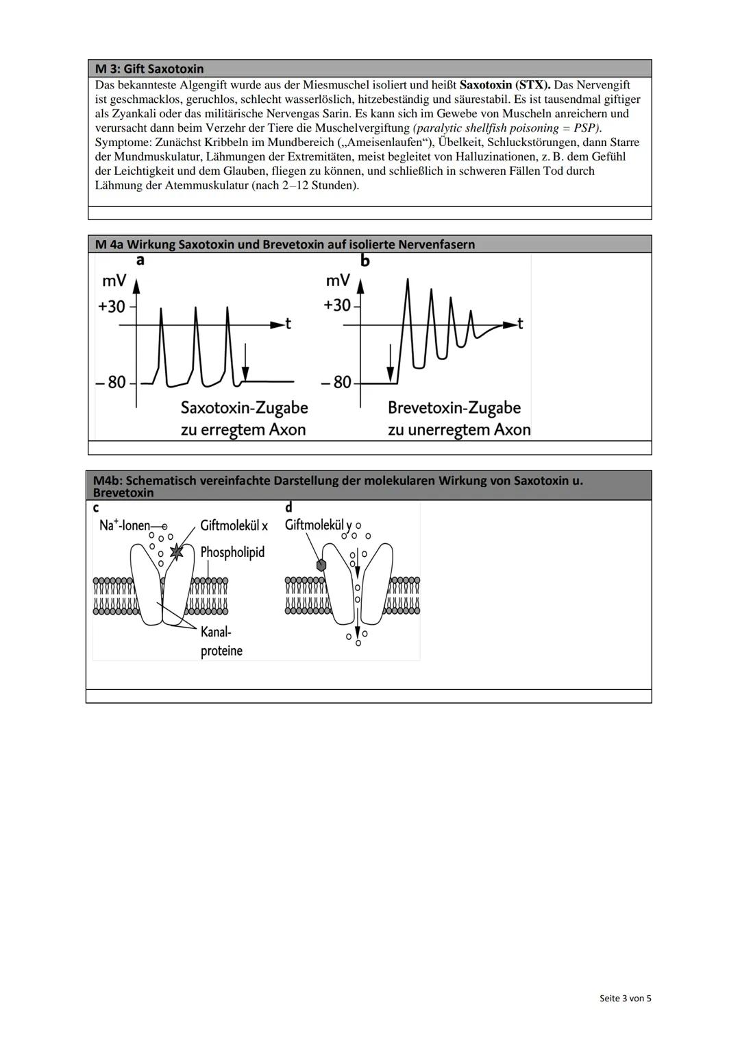 Name:
Notenpunkte:
Klausur Biologie - Kurs 11
Thema: Neurobiologie
Datum: 09. März 2018
Unterschrift: Duderstadt, den
Aufgabe
1
2
3
4
5
Σ
er